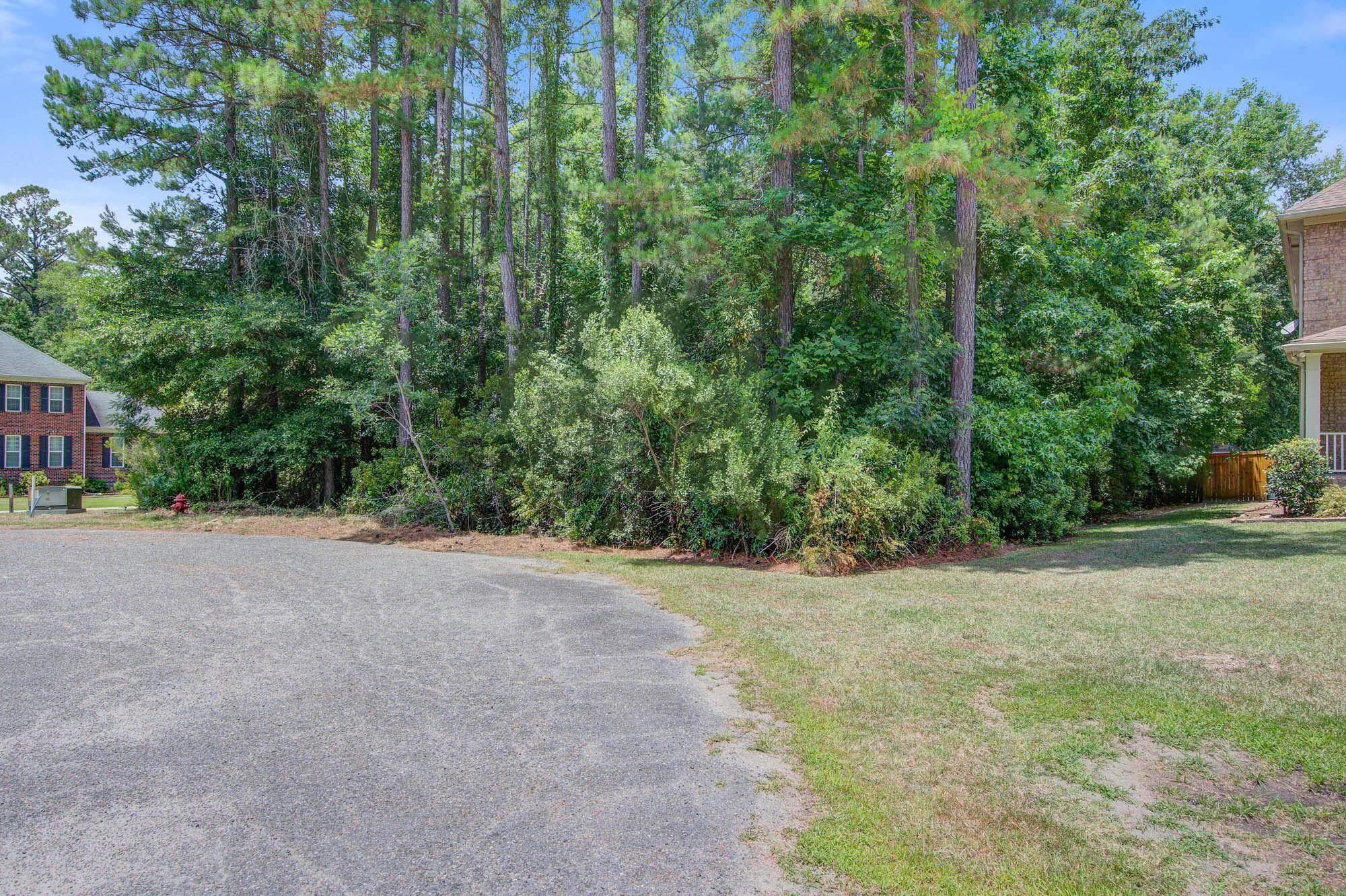 Moncks Corner, SC 29461,1202 Jump Seed Ct