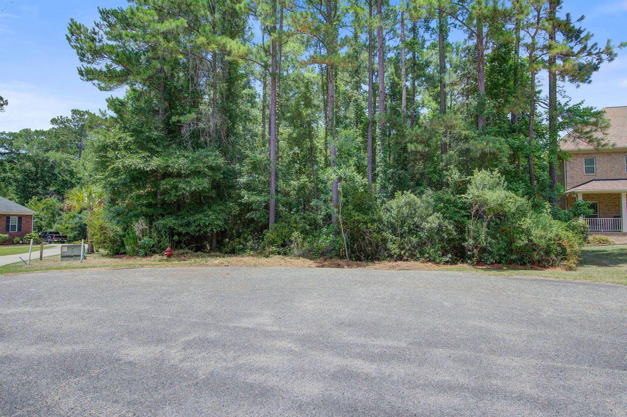 Moncks Corner, SC 29461,1202 Jump Seed Ct