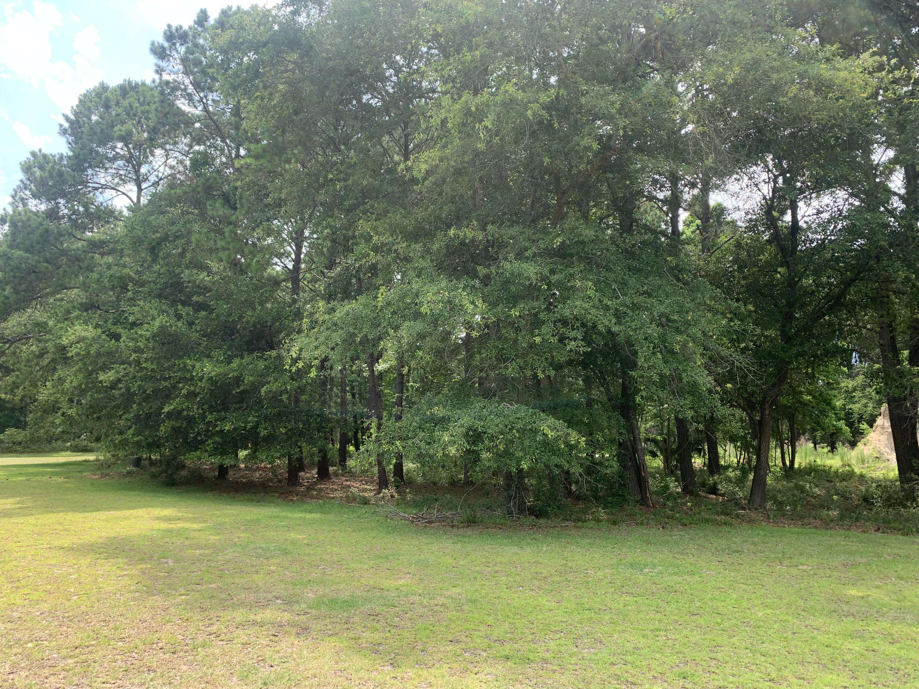 Edisto, SC 29438,68 Seaside Lane