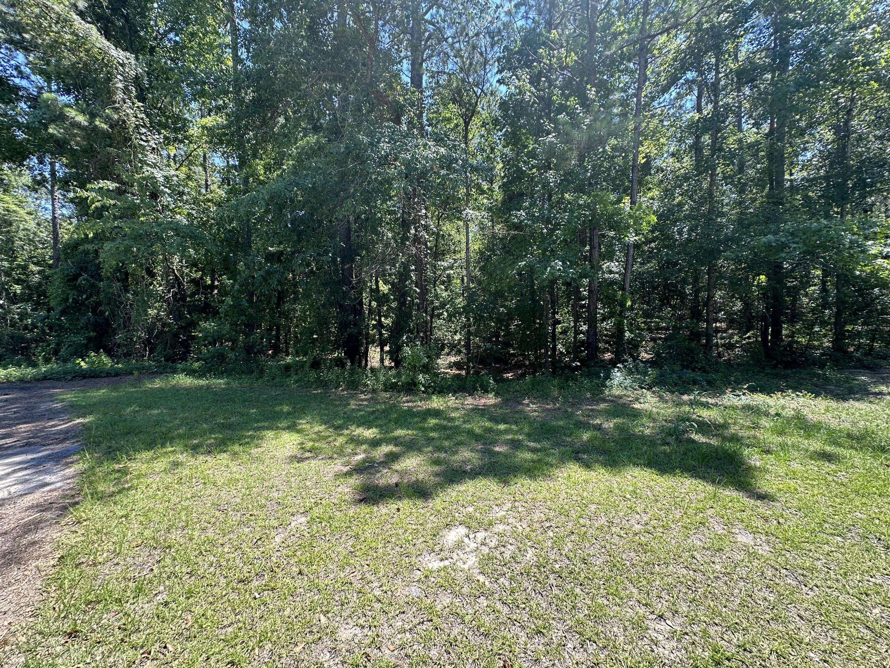 Elloree, SC 29047,00 Sorin Cir