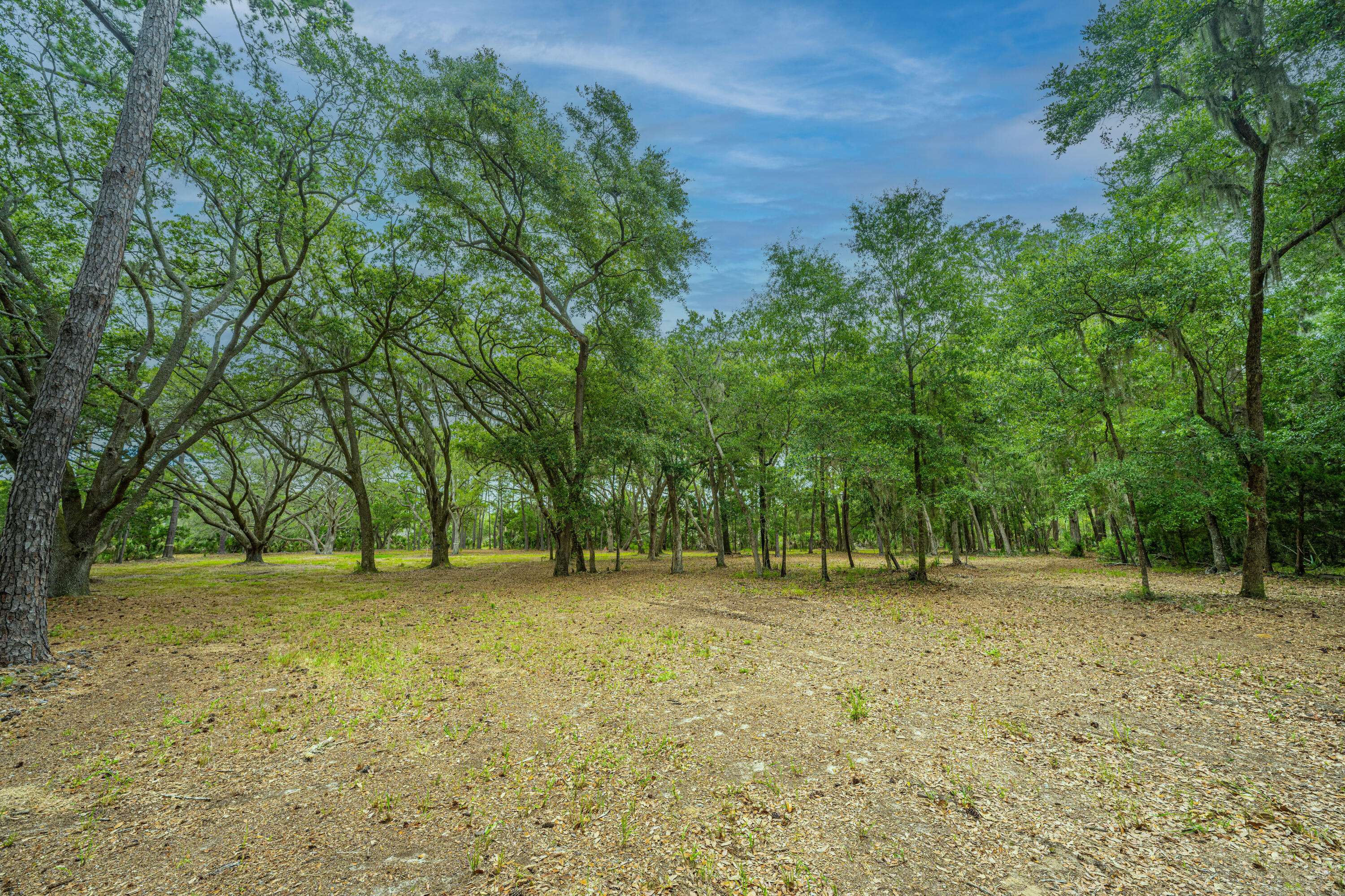 Edisto Island, SC 29438,8430 St. Pierre Creek