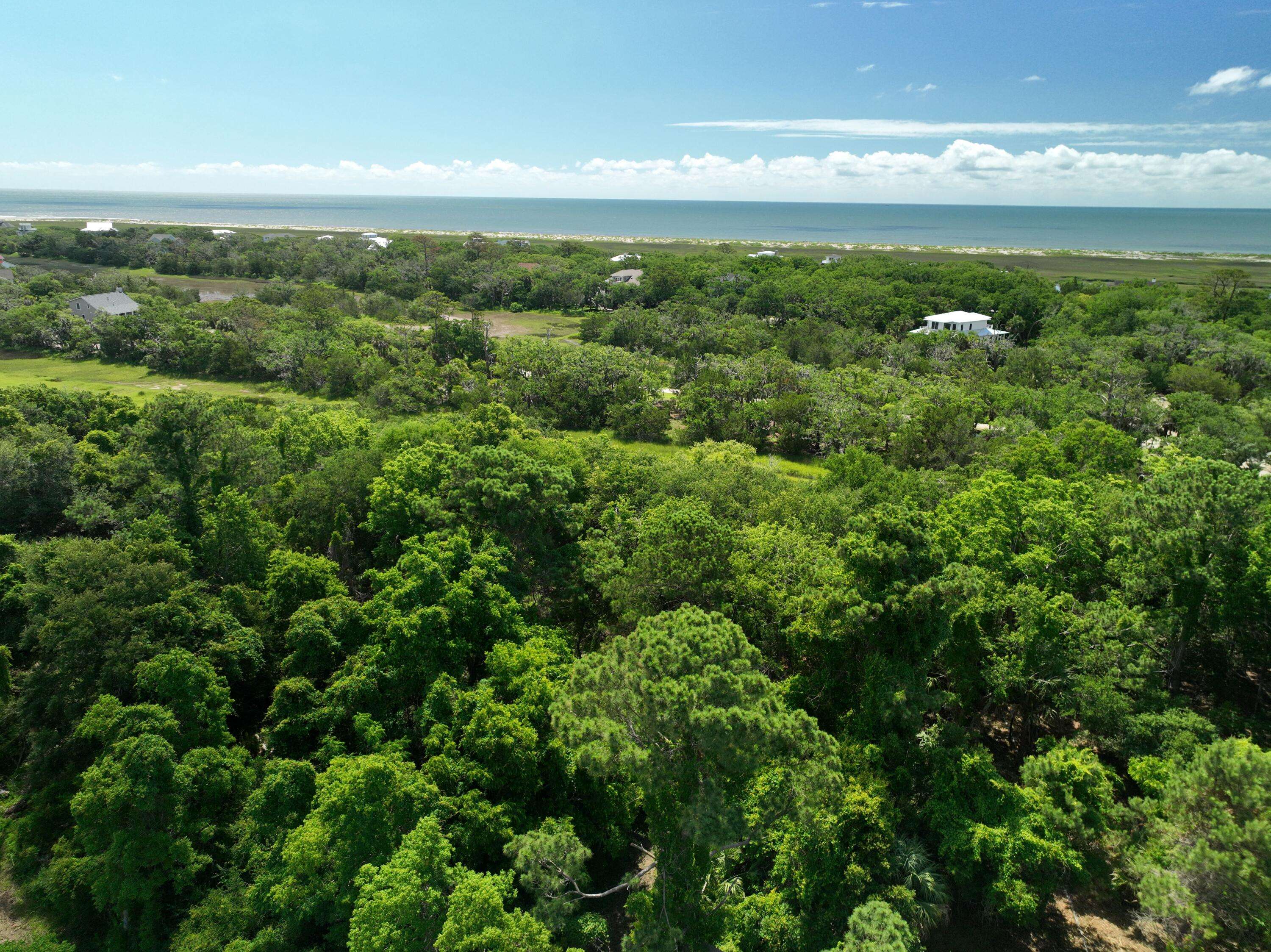 Edisto Island, SC 29438,723 Jan Savage Way #Lot (A)