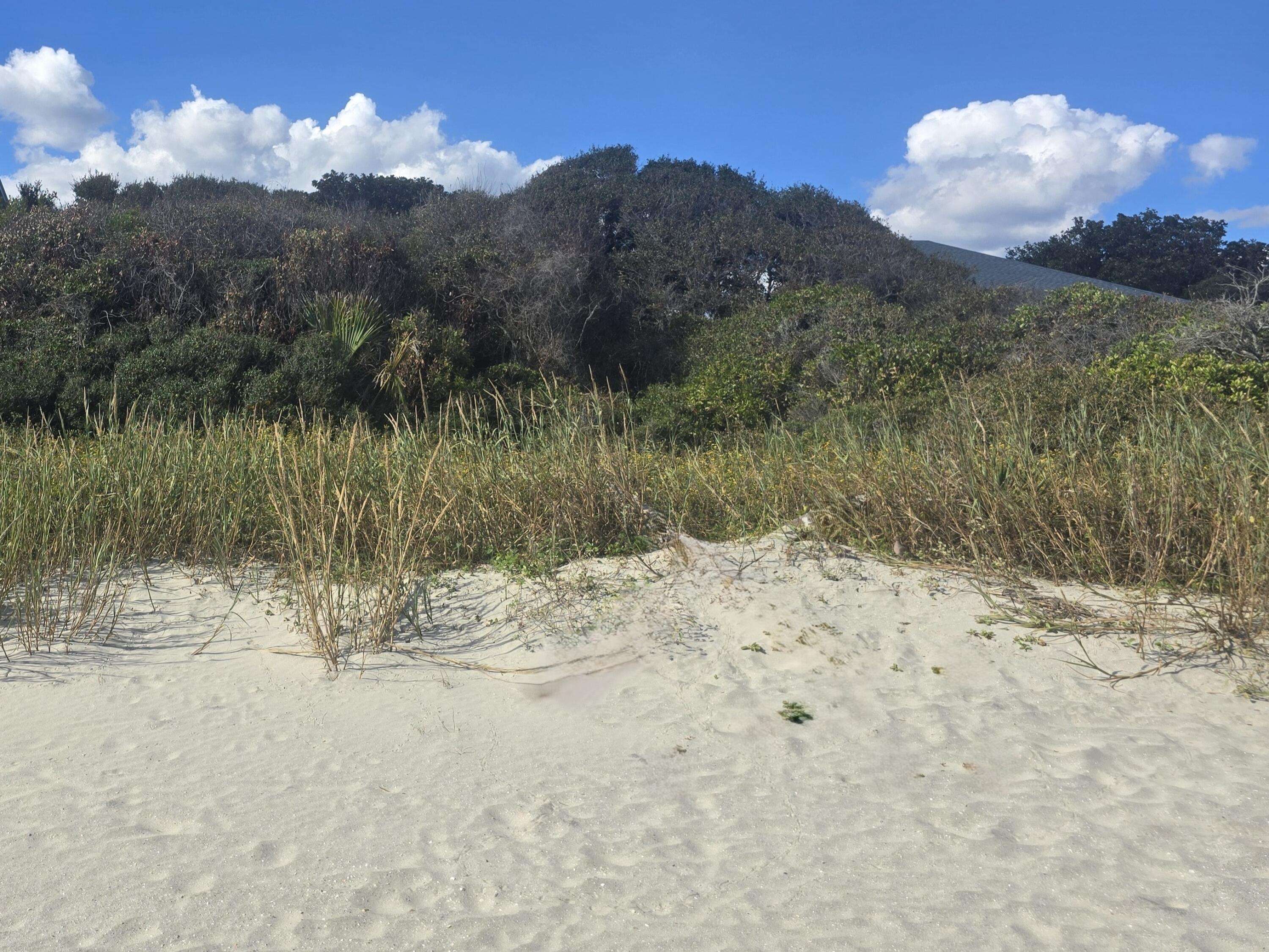 Folly Beach, SC 29439,1217 E Ashley Ave