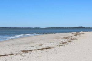 Edisto Beach, SC 29438,3104 Fort St