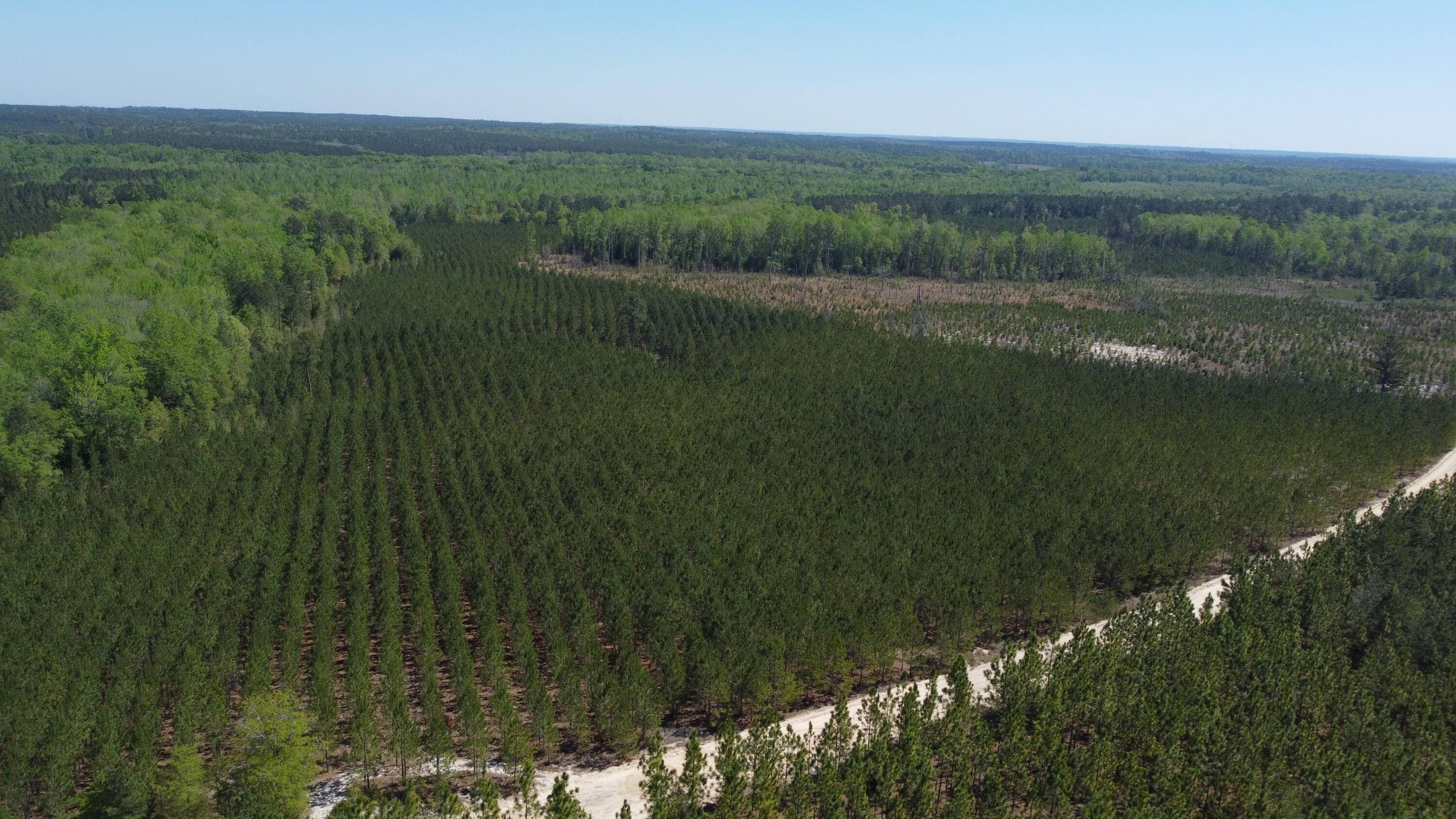 Cassatt, SC 29032,2919 Porter Rd