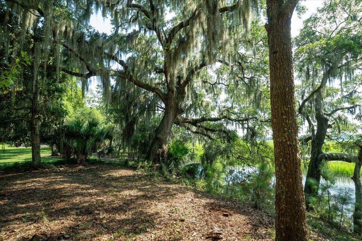 Edisto Island, SC 29438,8467 Middleton Point Ln