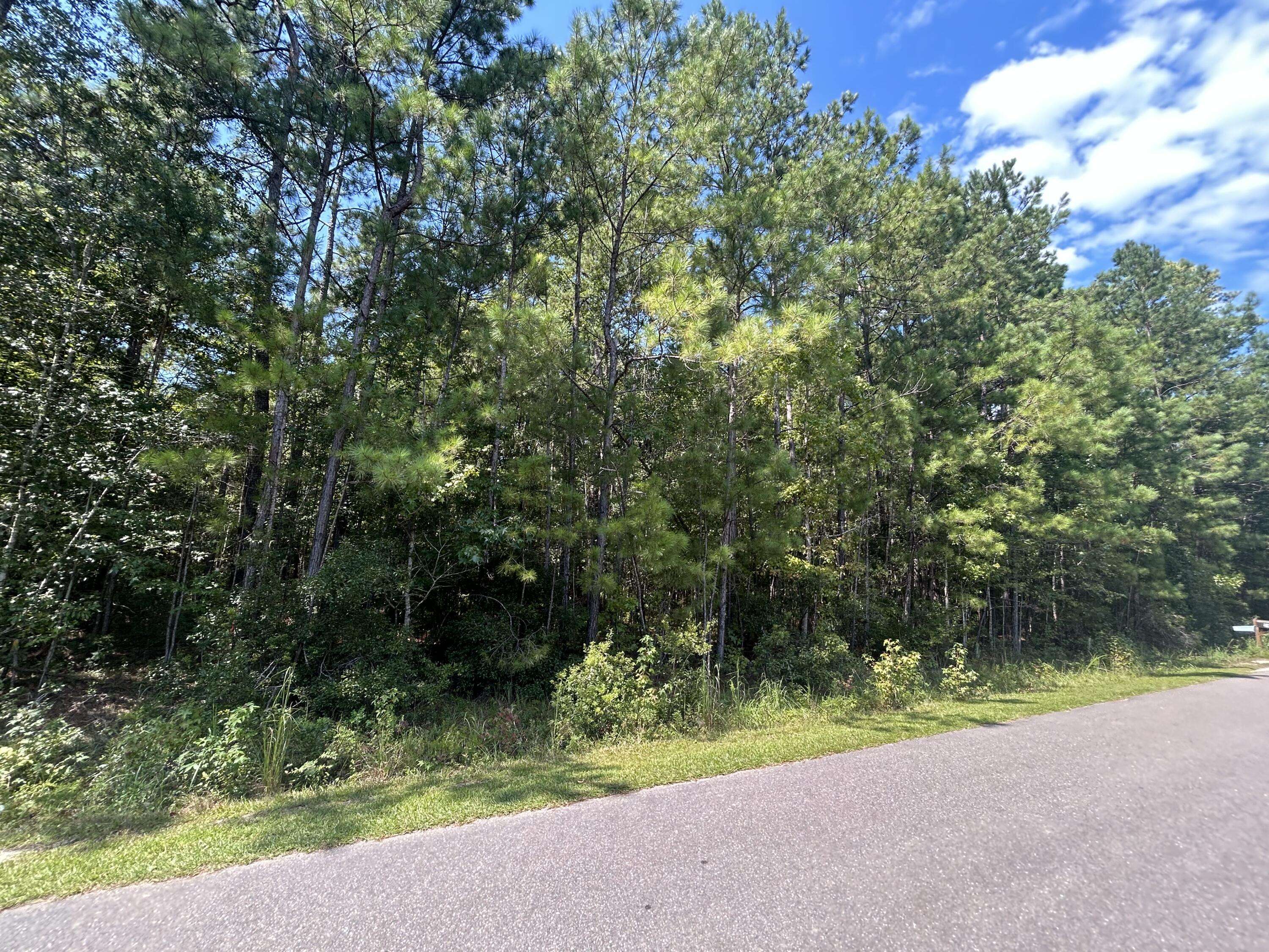 Summerville, SC 29483,Lot 3 Brewer Rd