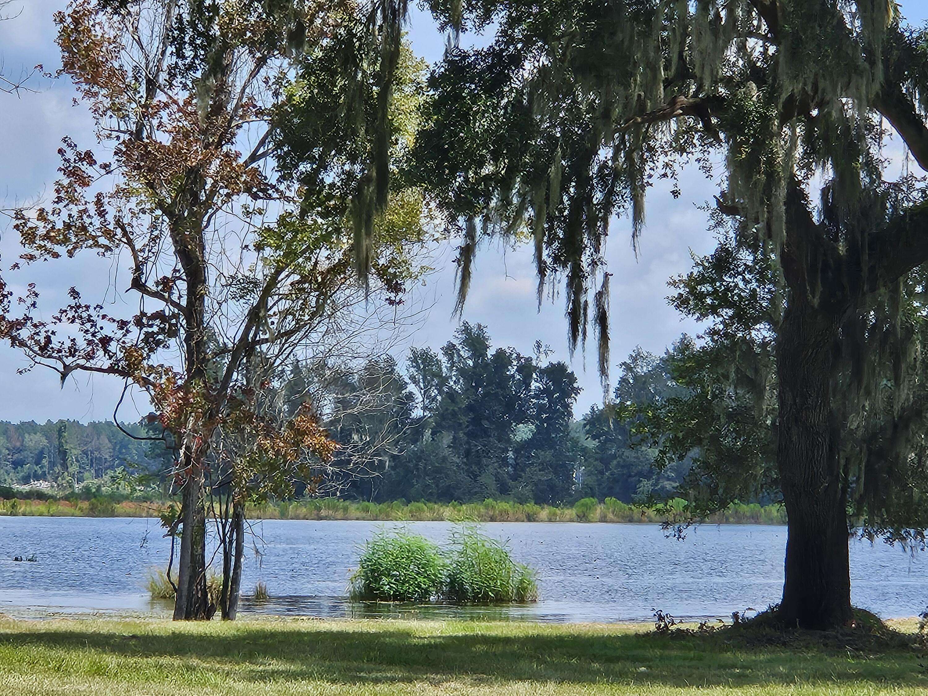 Ravenel, SC 29470,210 Oyster Catcher Ln