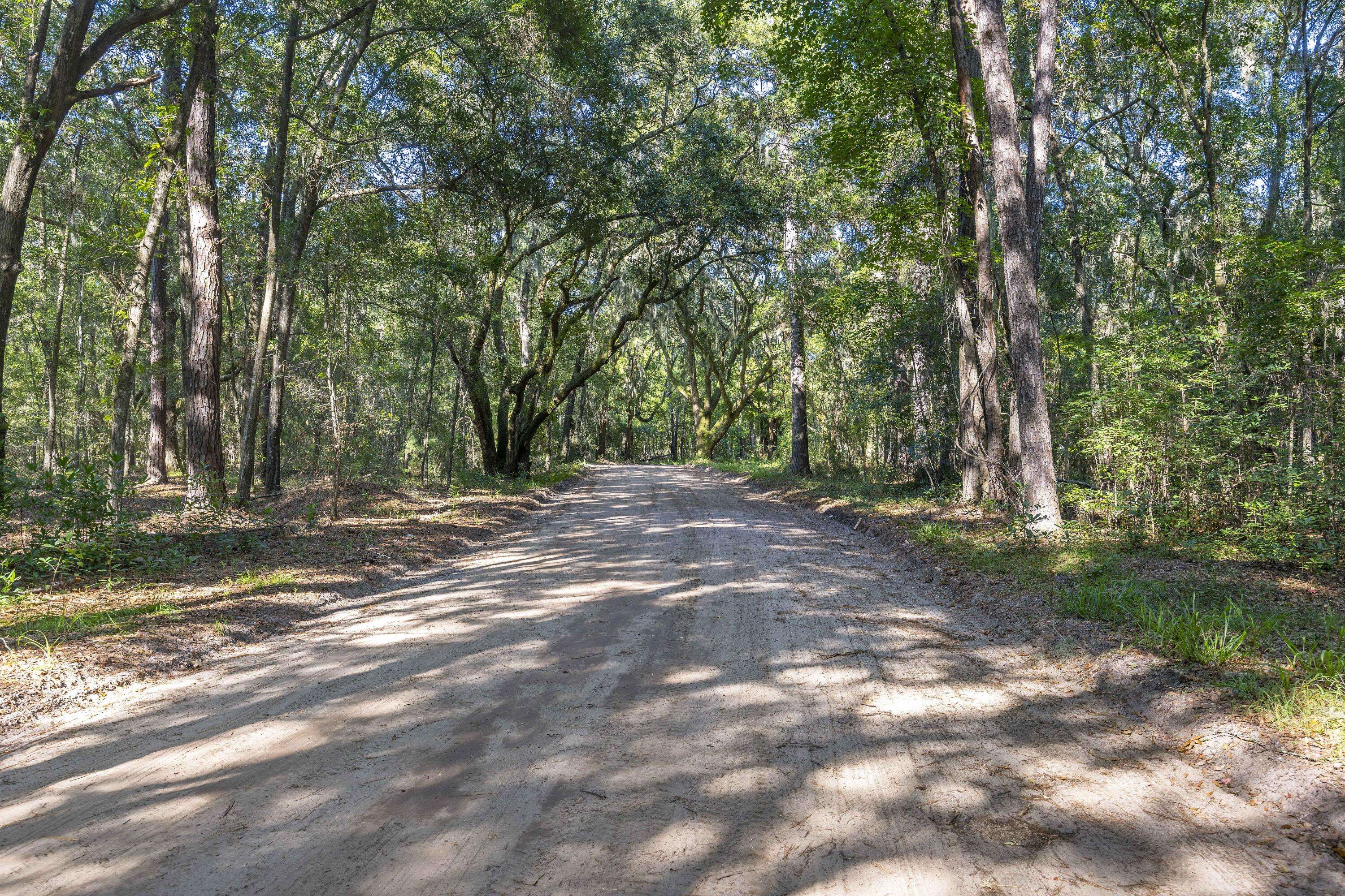 Edisto Island, SC 29438,7857 Mary Seabrook Rd