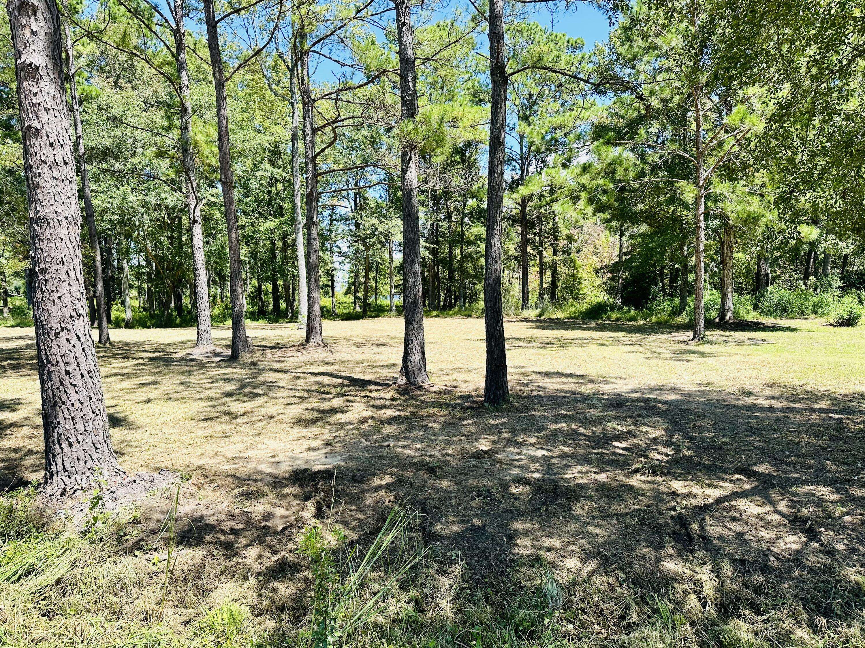 Pinopolis, SC 29469,1426 Pinopolis Rd