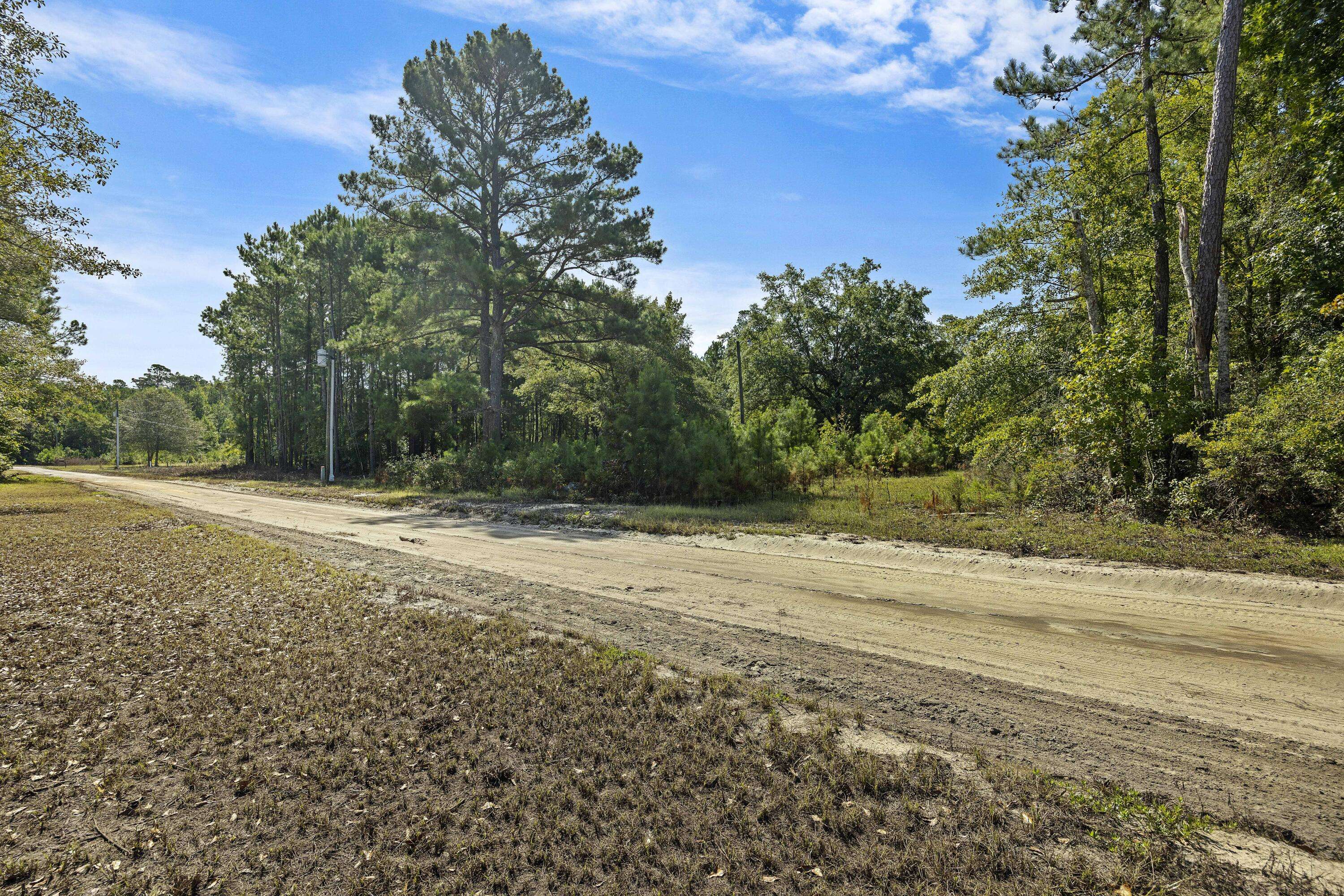 Nichols, SC 29581,0 New Bridge Road
