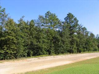 Orangeburg, SC 29118,0 Shore Dr #Lot 35