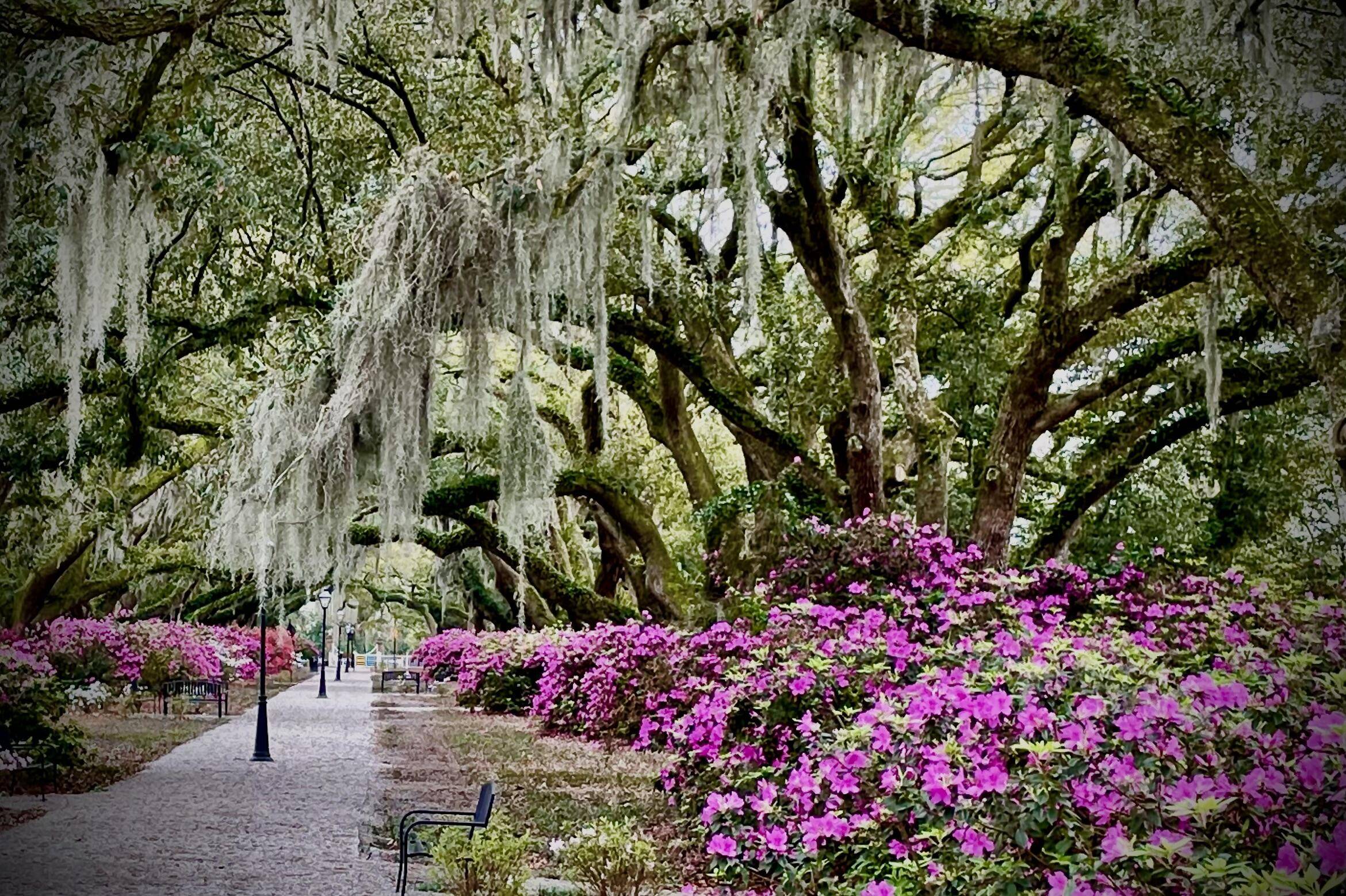 Charleston, SC 29407,1073 Avenue Of Oaks