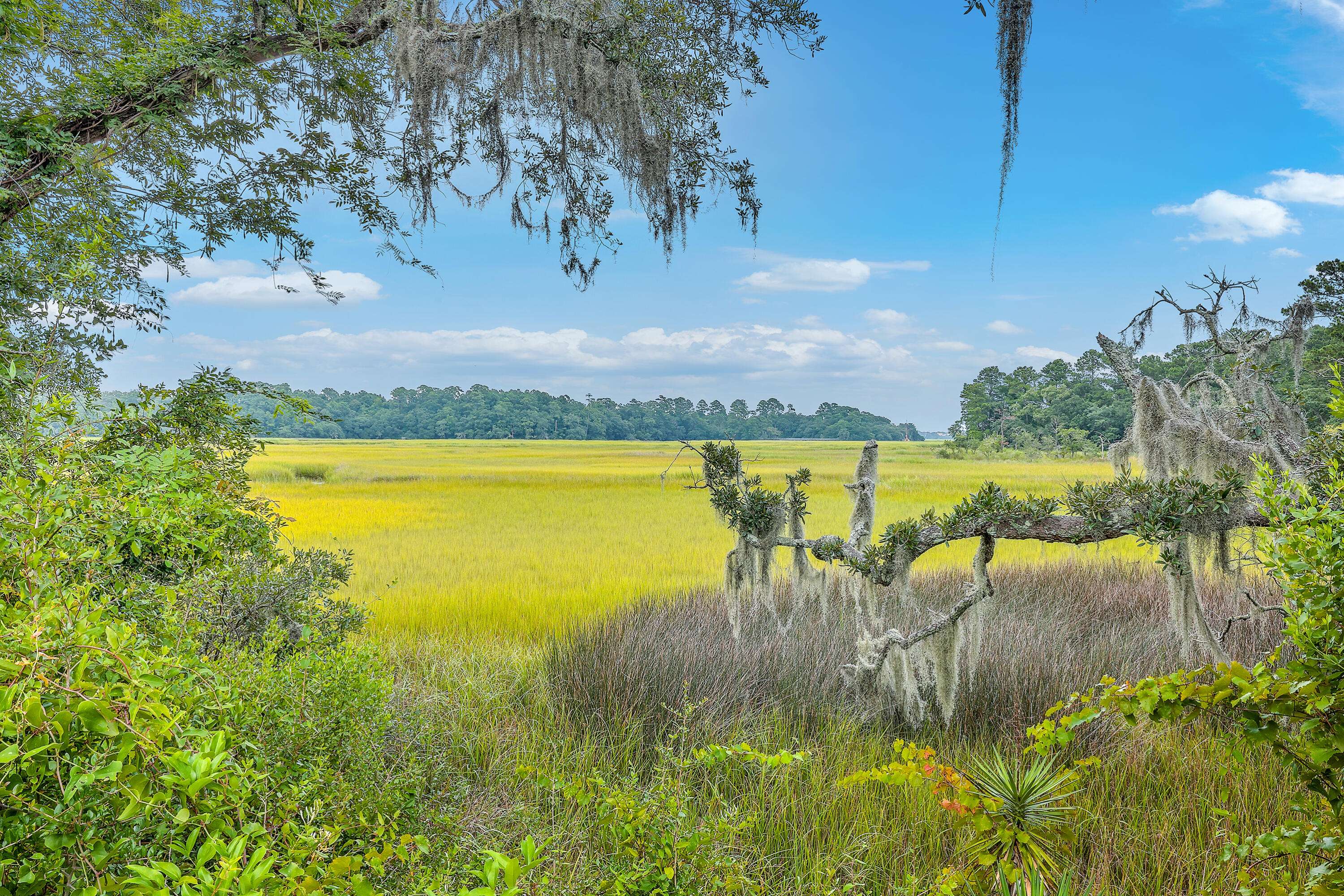 Charleston, SC 29407,1073 Avenue Of Oaks