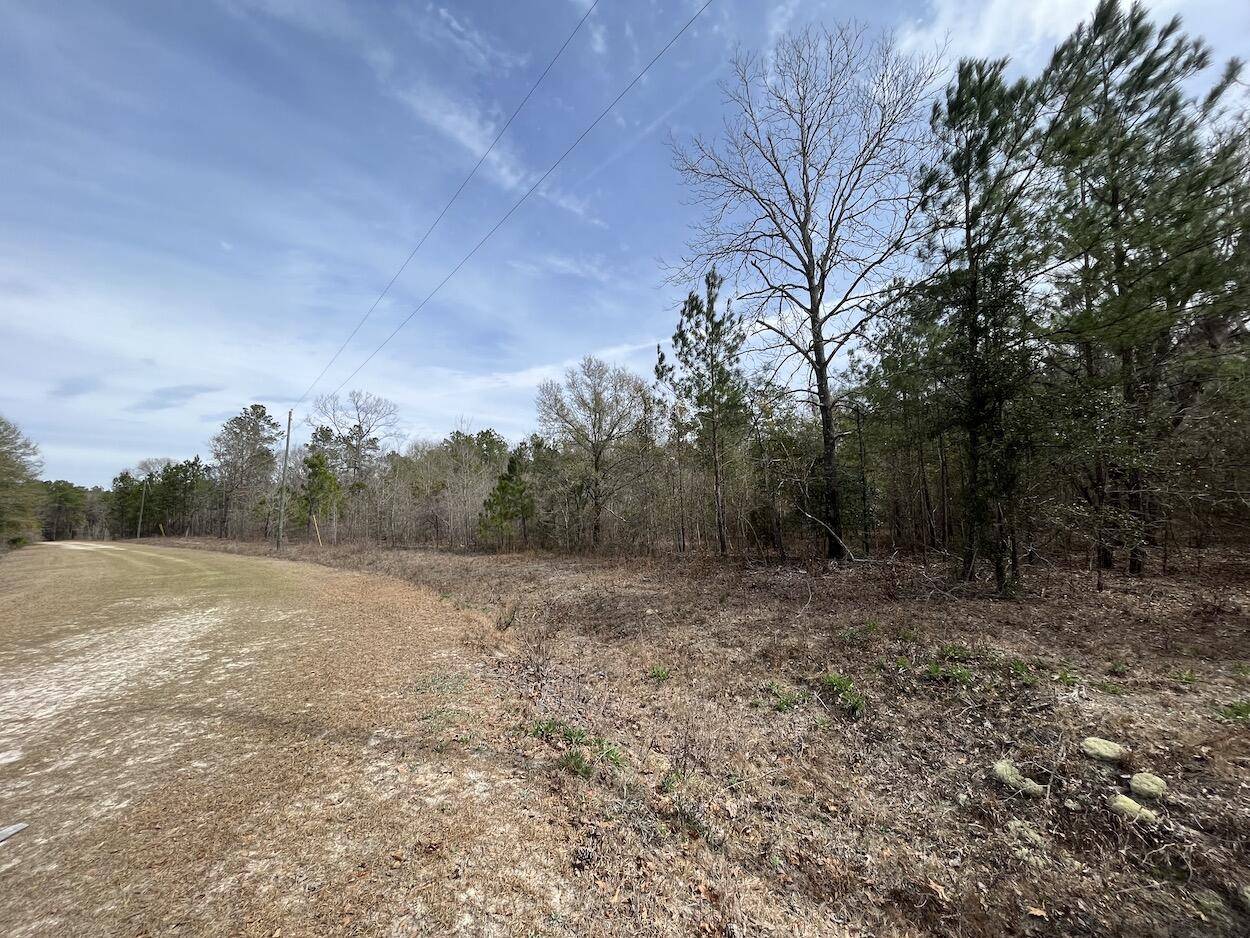 Walterboro, SC 29488,595 China Ct
