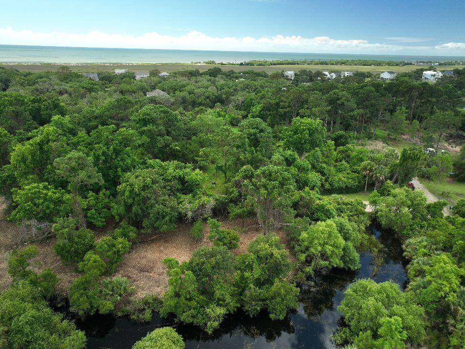 Edisto Island, SC 29438,697 Jan Savage Way #Lot (A-A-A)