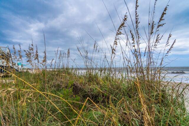 Edisto Island, SC 29438,144 Palmetto Blvd