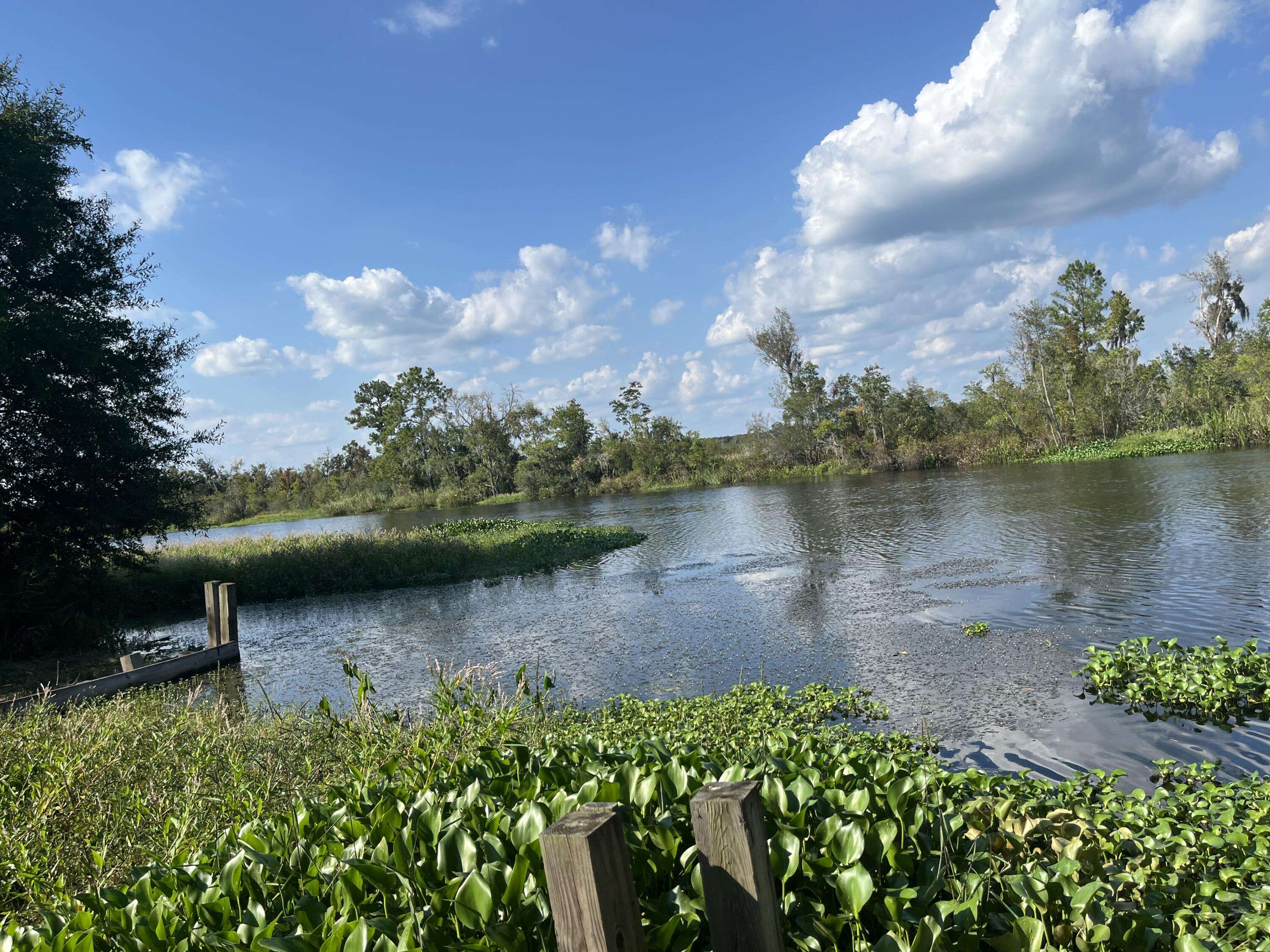 Walterboro, SC 29488,811 Backfield