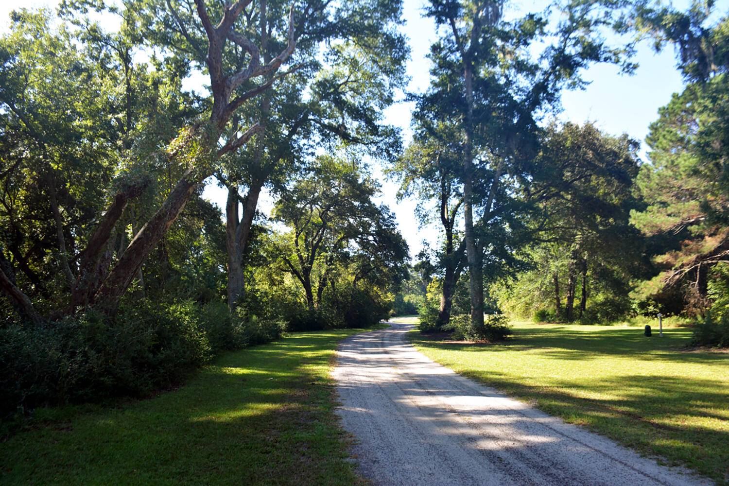 Edisto Island, SC 29438,7 Oakwood Ln