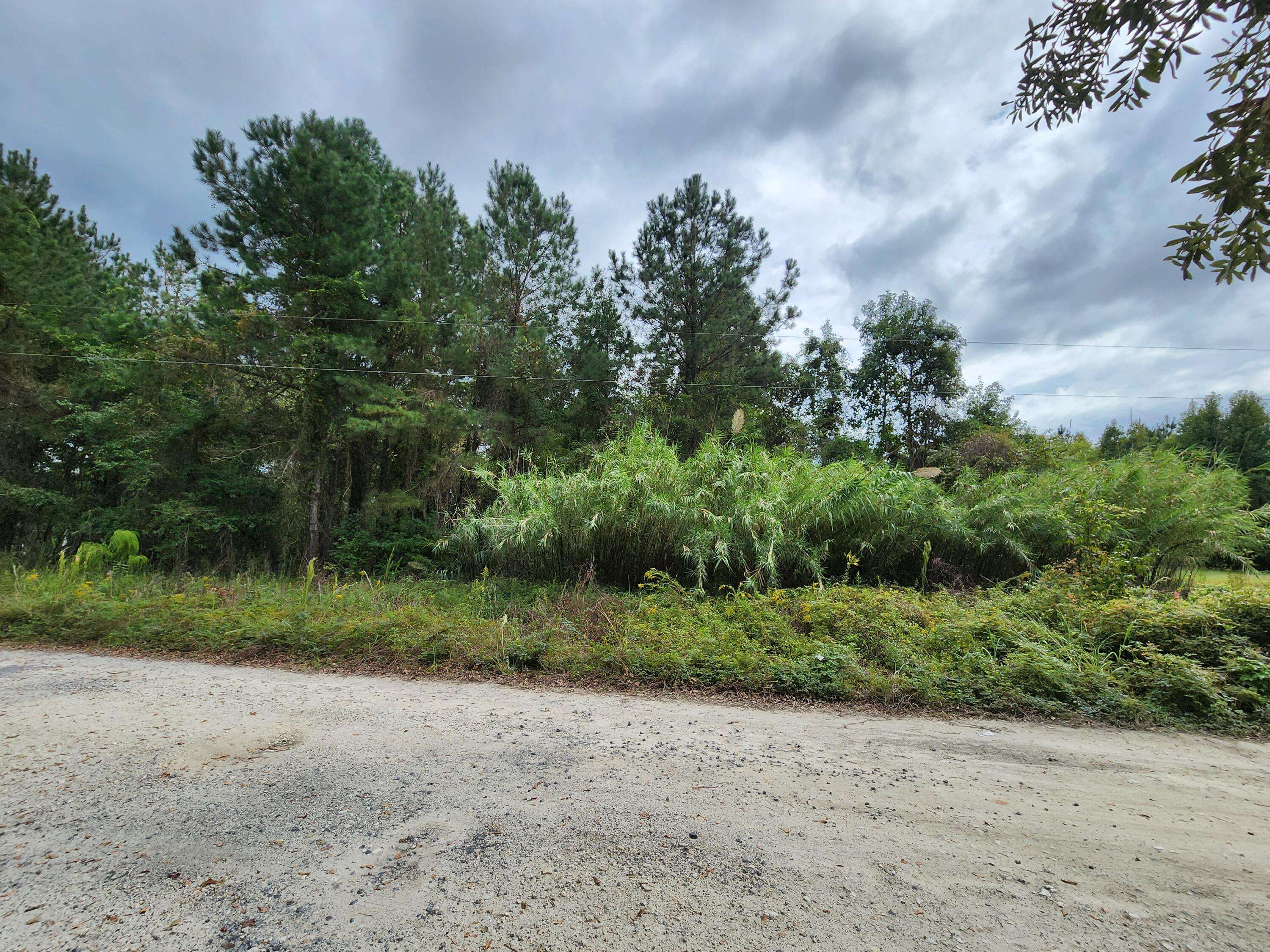 Saint Stephen, SC 29479,116 Wisteria Falls Trail