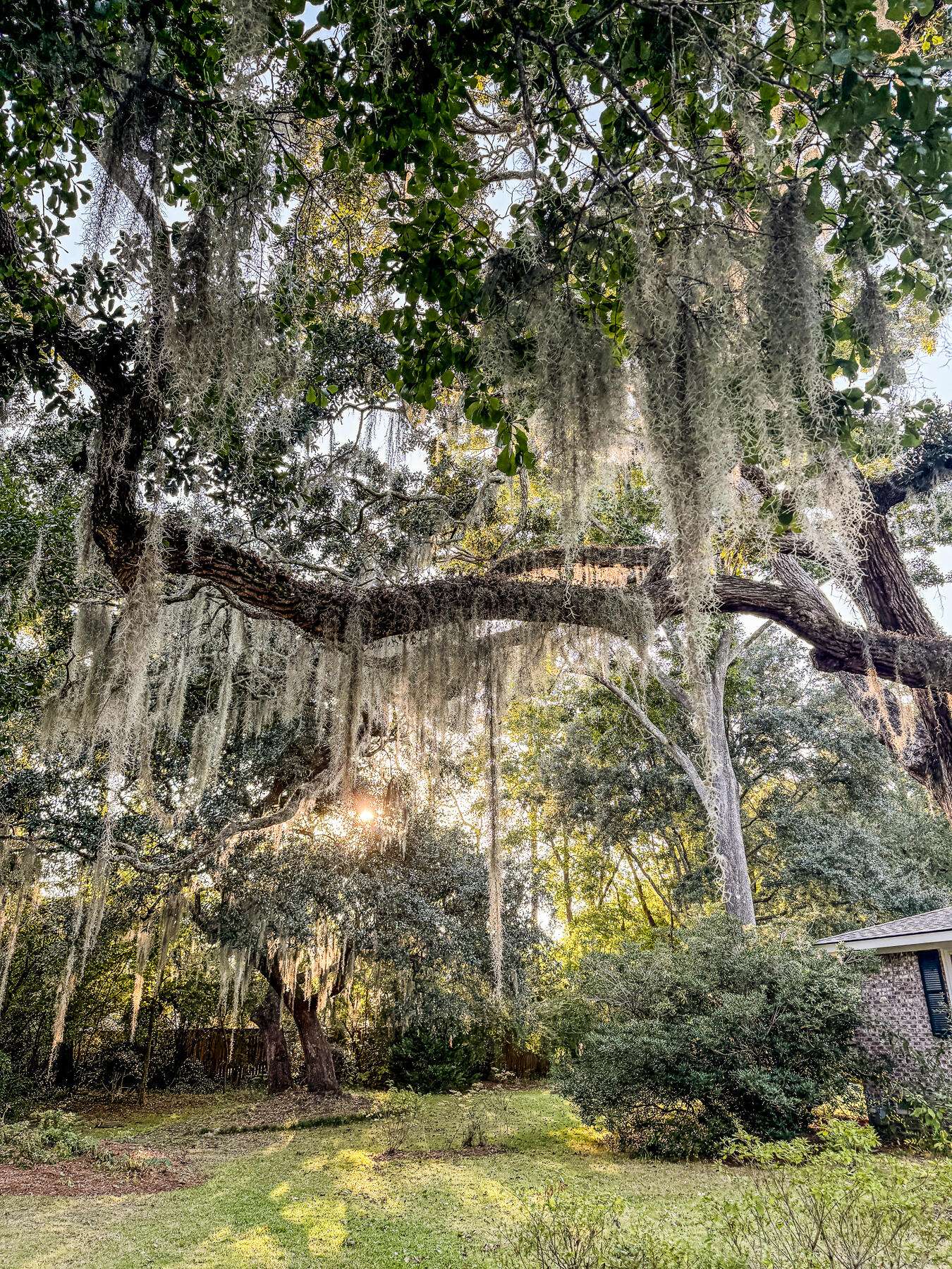Mount Pleasant, SC 29464,1351 Winifred St