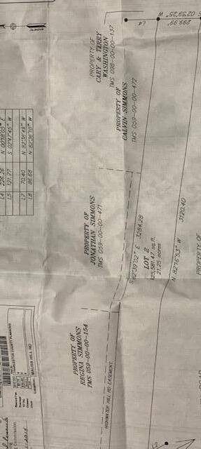 Adams Run, SC 29426,0 Mauss Hill Rd