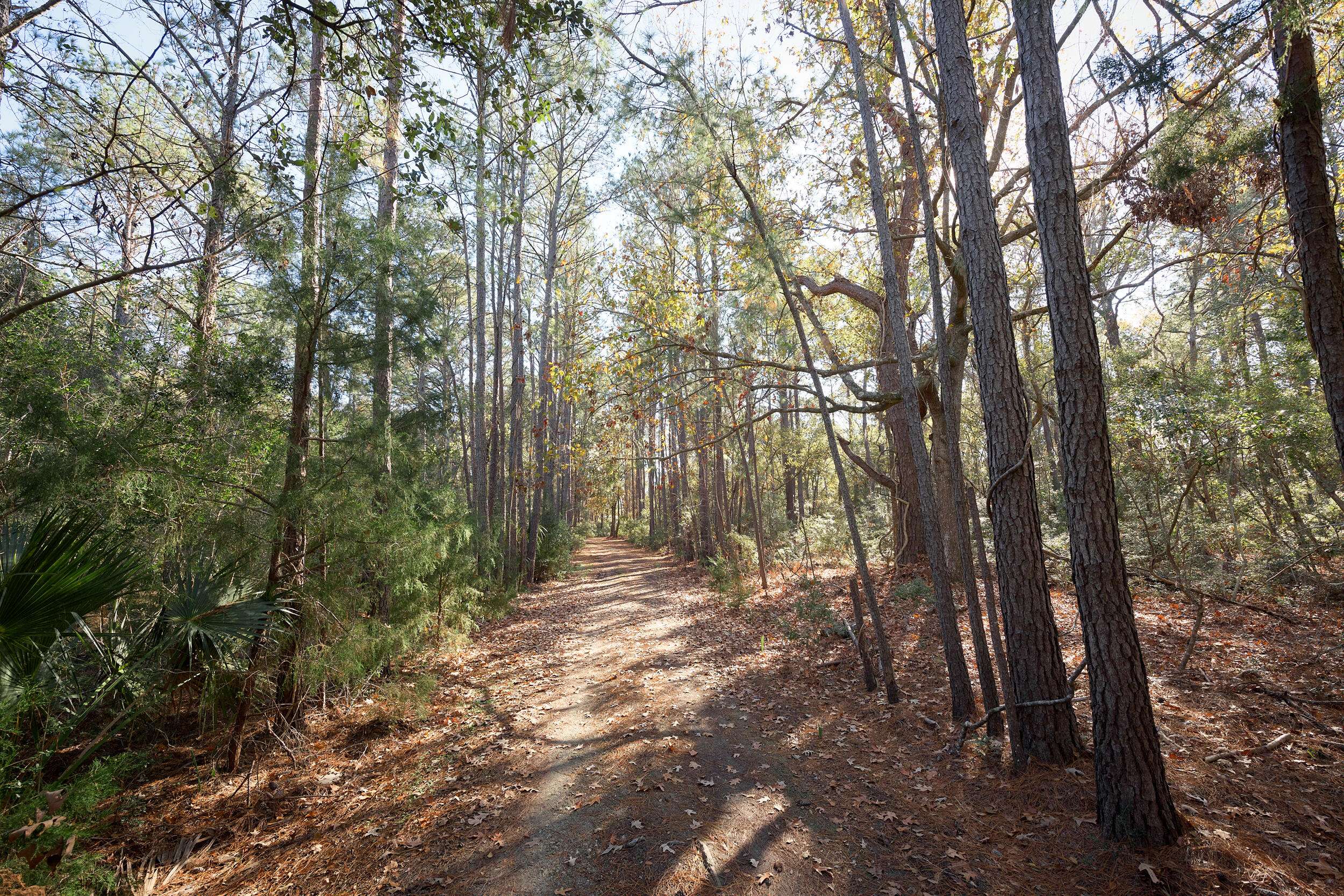 Edisto Island, SC 29438,8057 Point Of Pines Rd