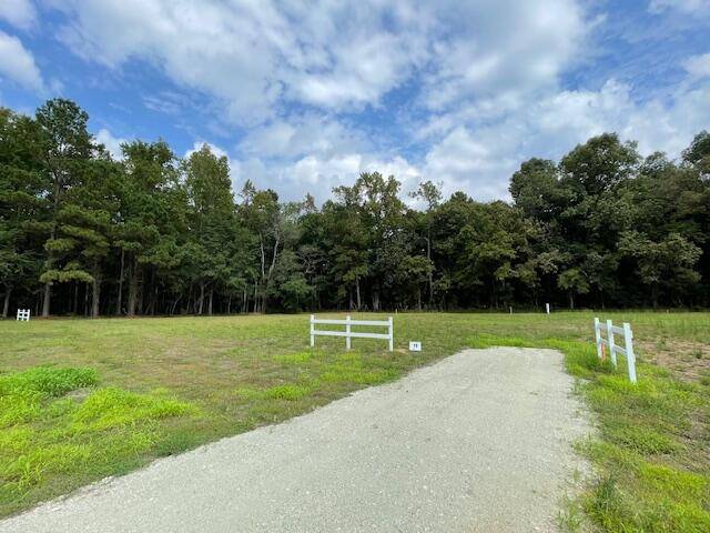Holly Hill, SC 29059,10 Wiggins Estates Ln