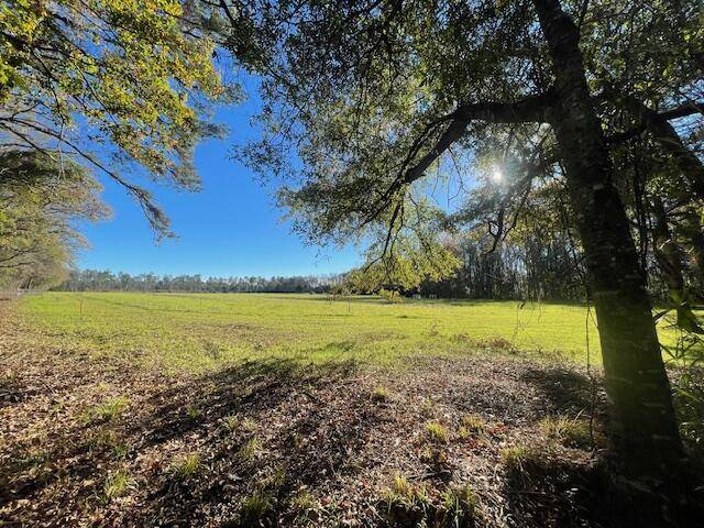 Holly Hill, SC 29059,10 Wiggins Estates Ln