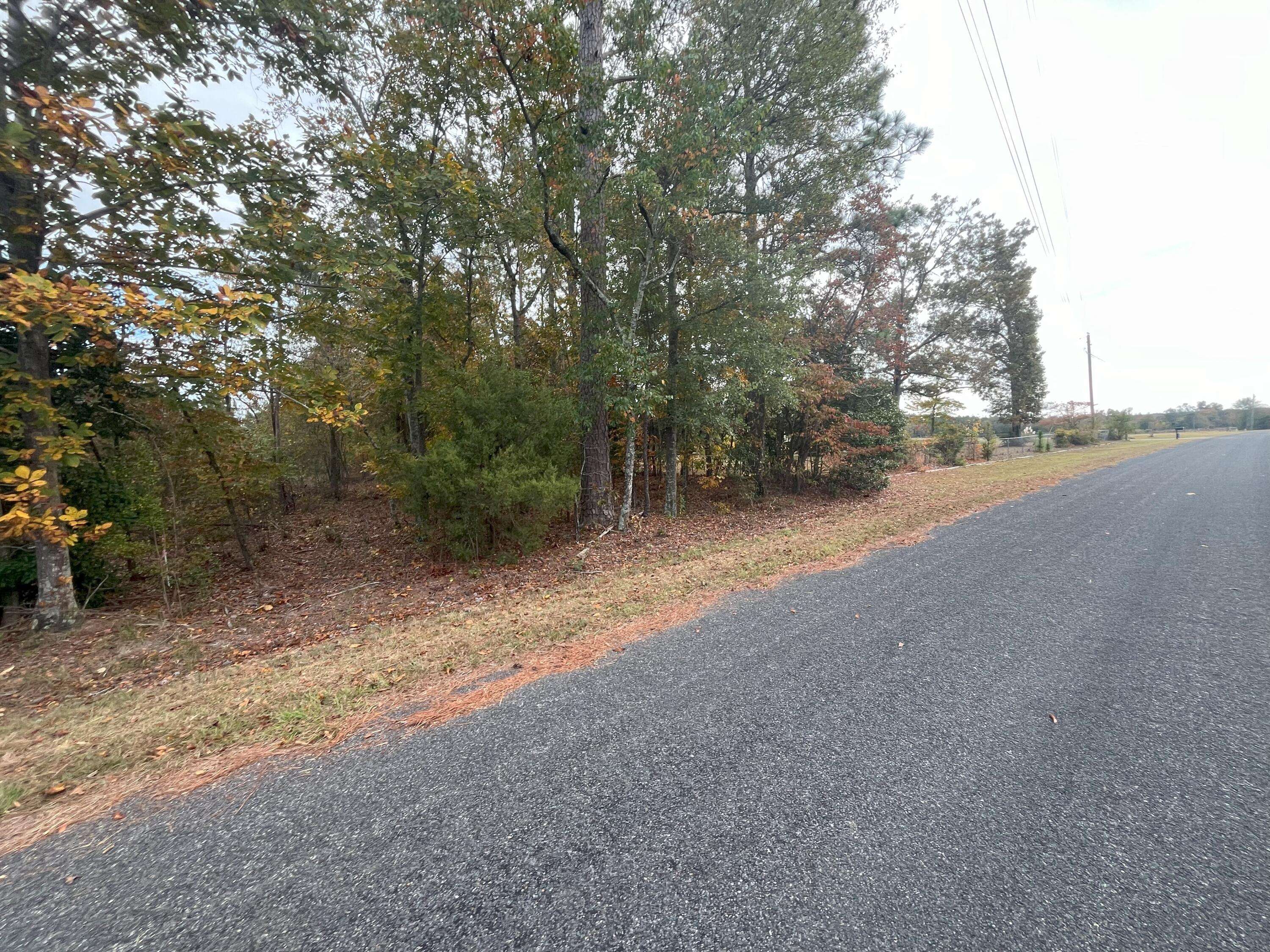 Salley, SC 29137,Ba 14 Kirkland Blizzard Rd #Ba 14