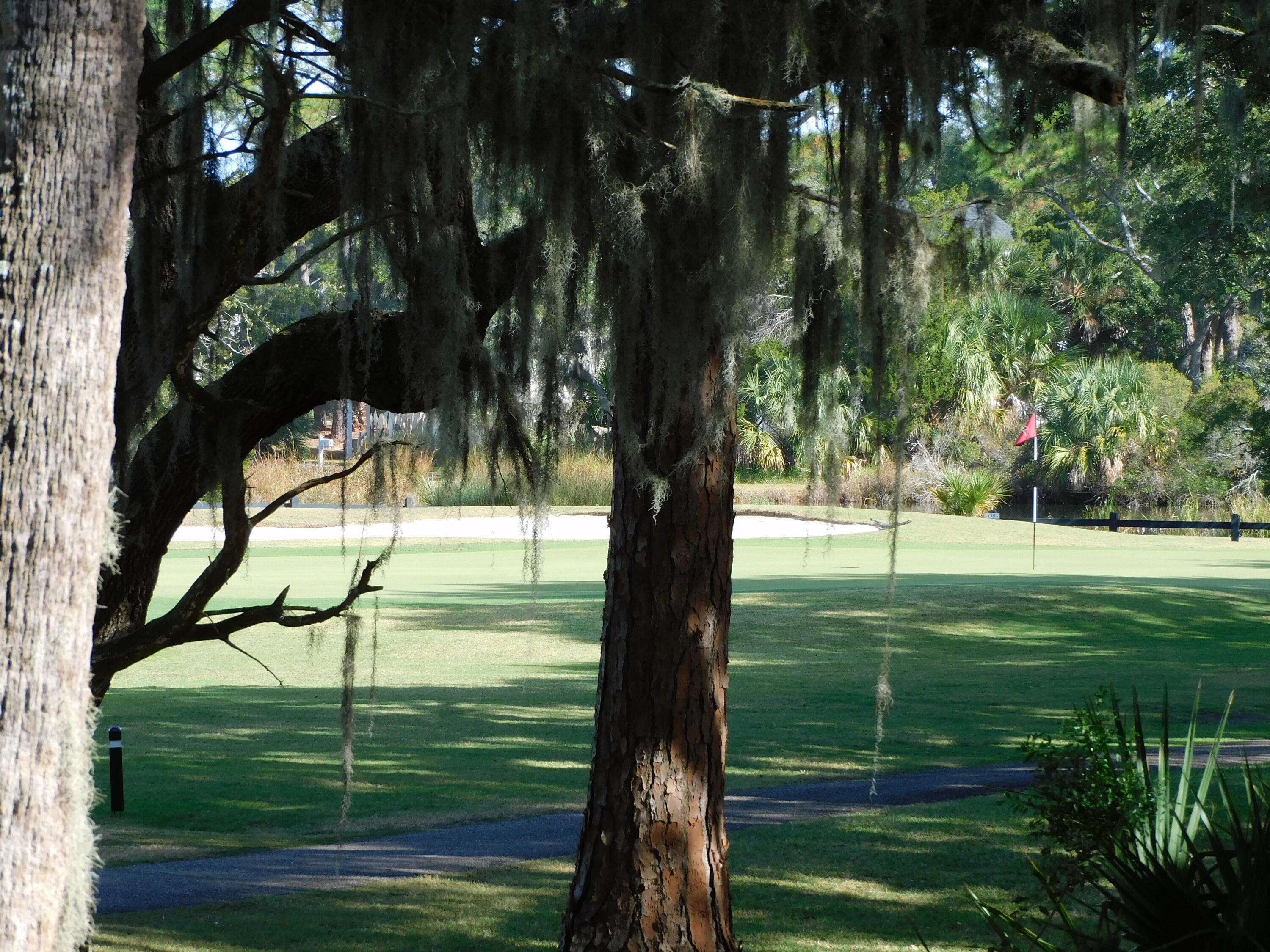 Edisto Island, SC 29438,265 Sea Cloud Cir