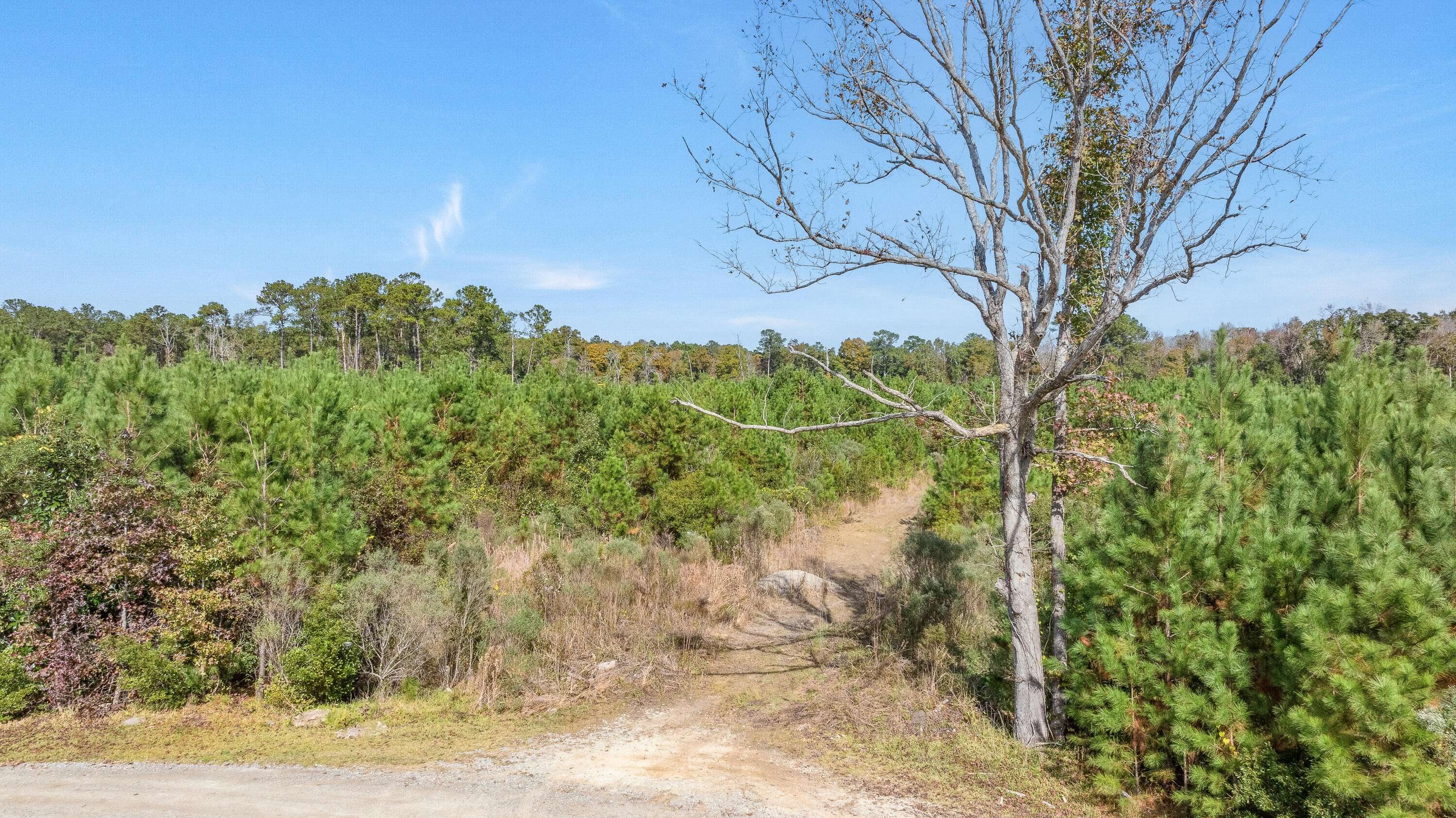 Jamestown, SC 29453,0 Hartley Hill