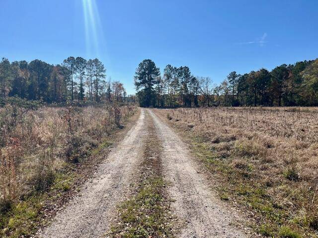 Reevesville, SC 29471,168 Country Downs Ln