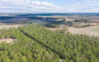 Andrews, SC 29510,122 Deer Run Avenue