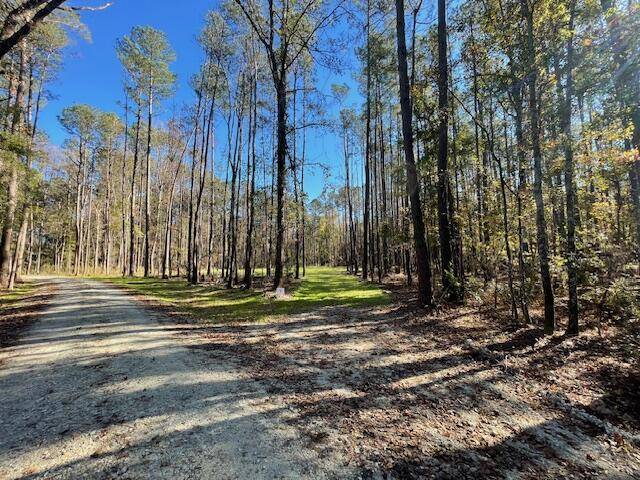 Ridgeville, SC 29472,1 Fish Road