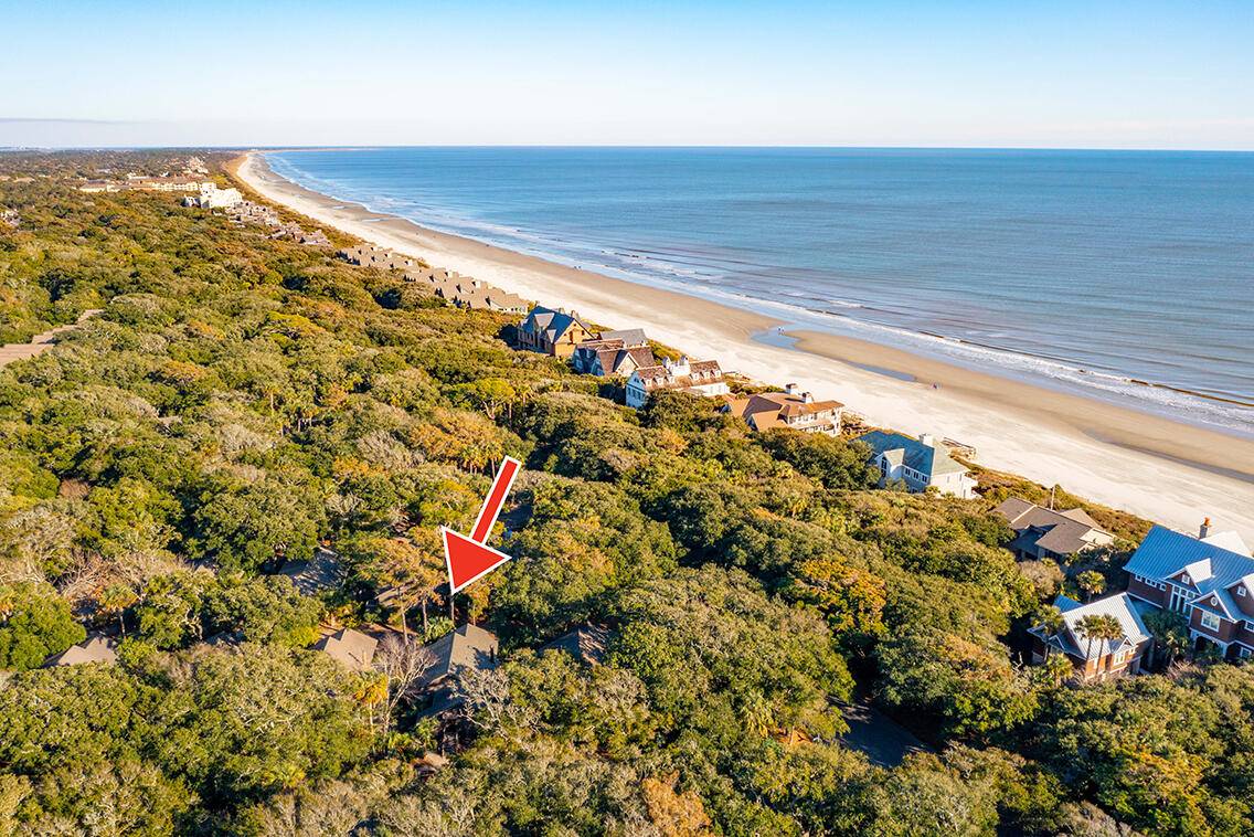 Kiawah Island, SC 29455,456 Vetch Ct