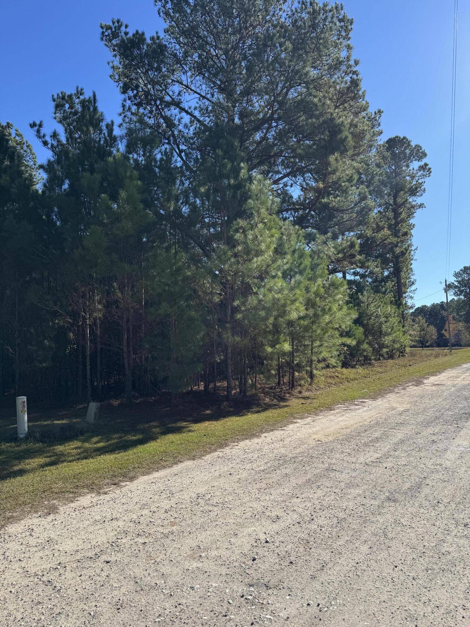 Manning, SC 29102,00 Winding Pond Rd