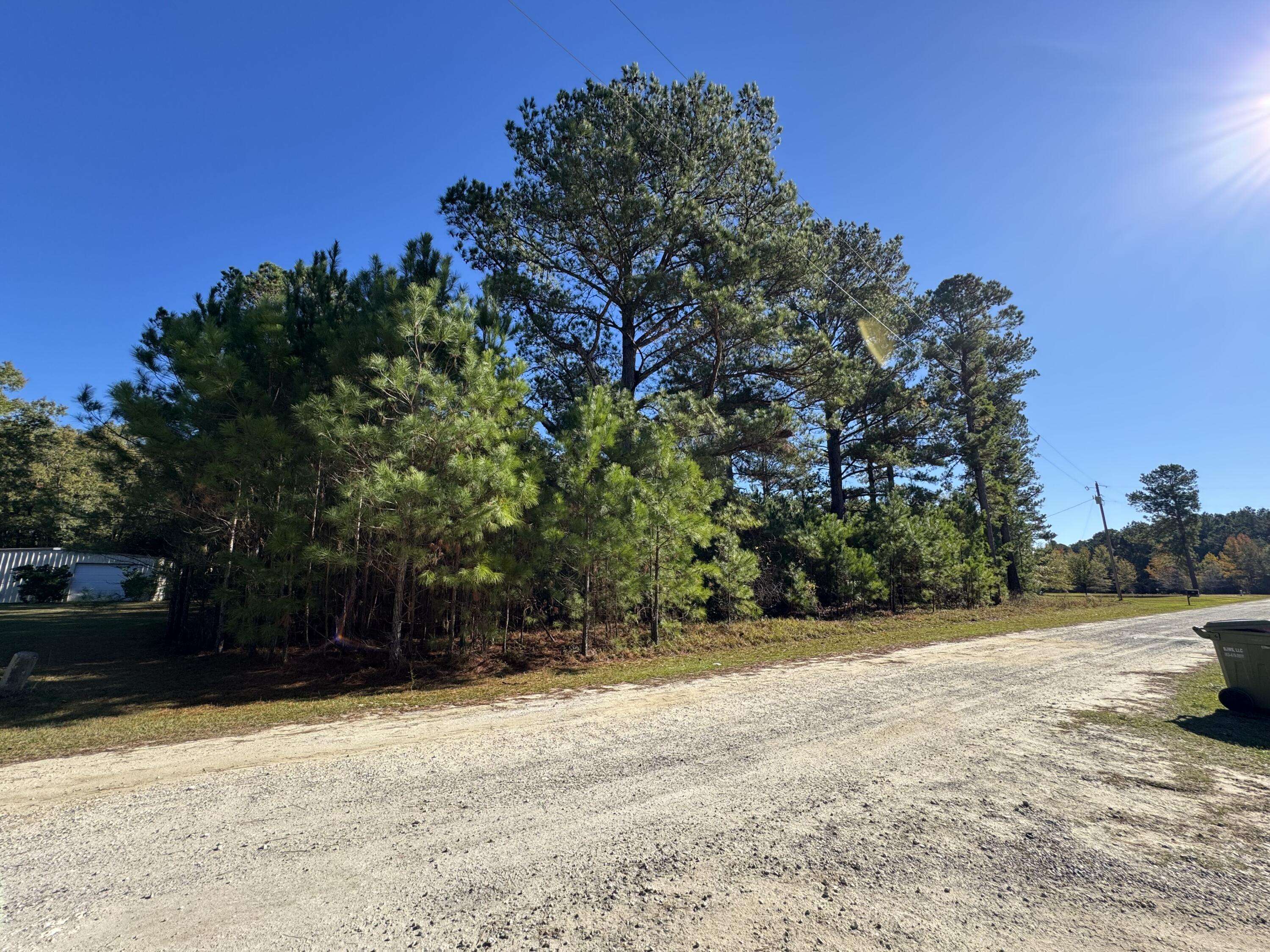 Manning, SC 29102,00 Winding Pond Rd