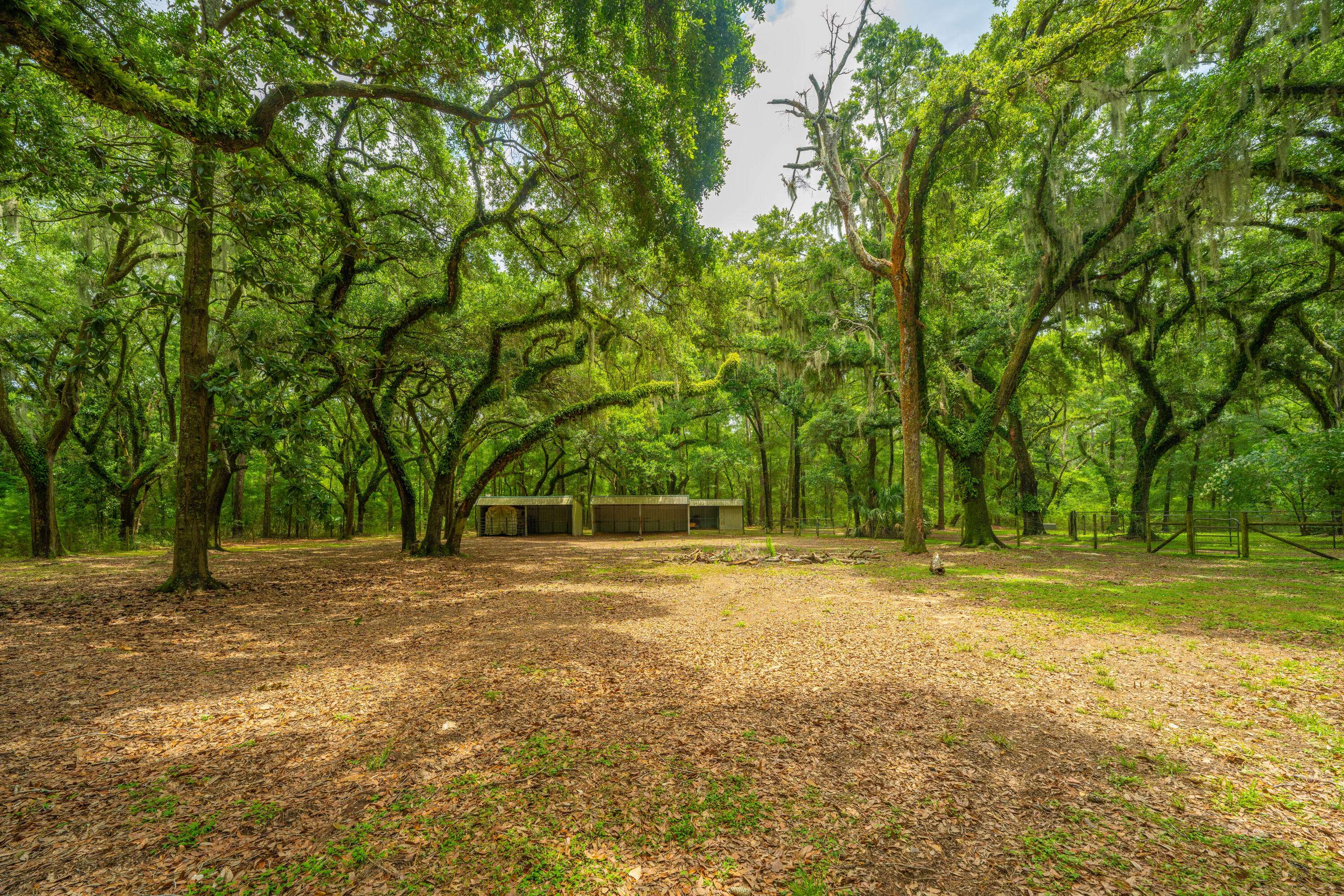 Edisto Island, SC 29438,8389 Chisolm Plantation Rd