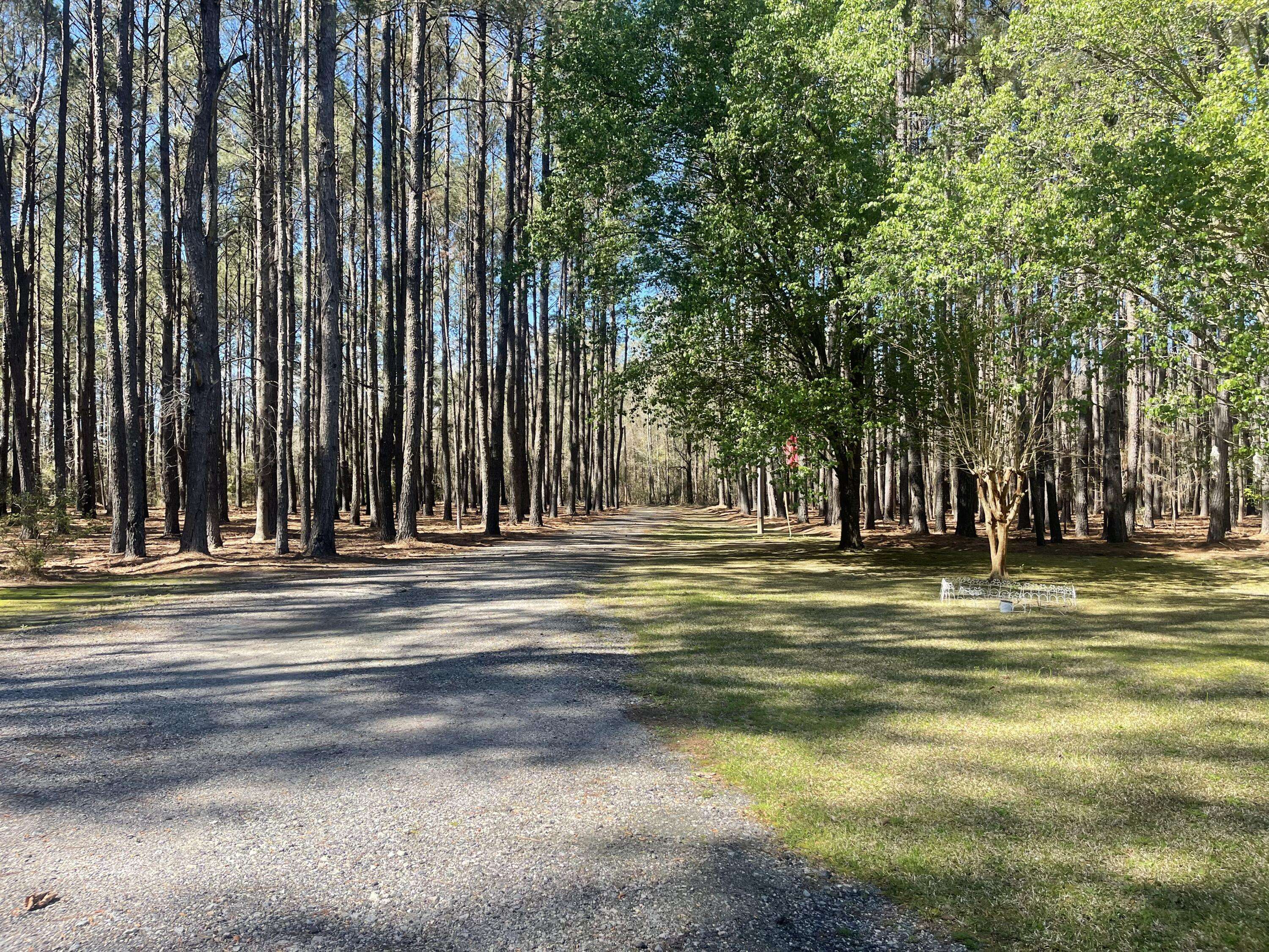 Ruffin, SC 29475,2234 Hudson Mill Rd