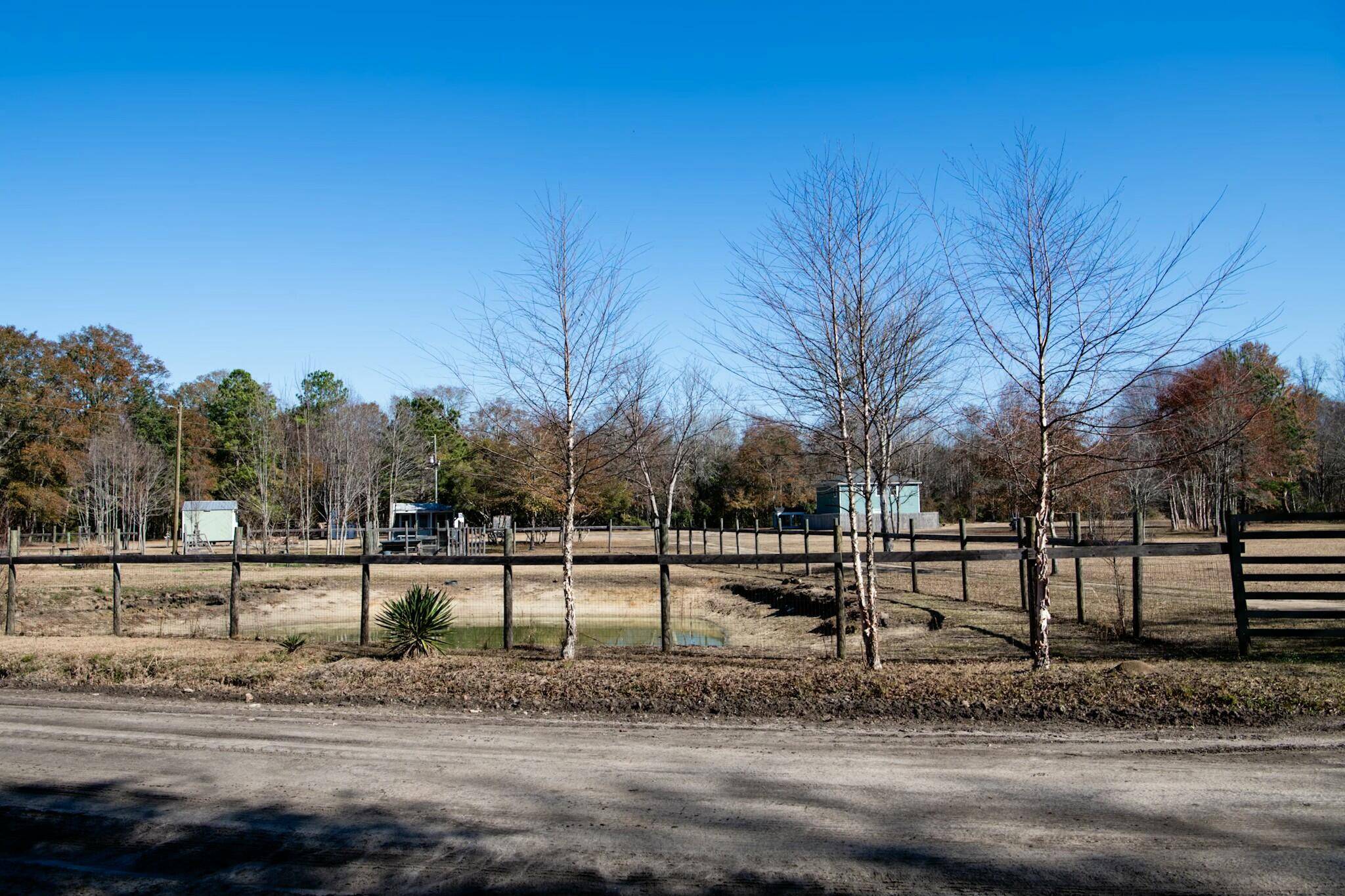 Walterboro, SC 29488,819 Misty Ridge Ln