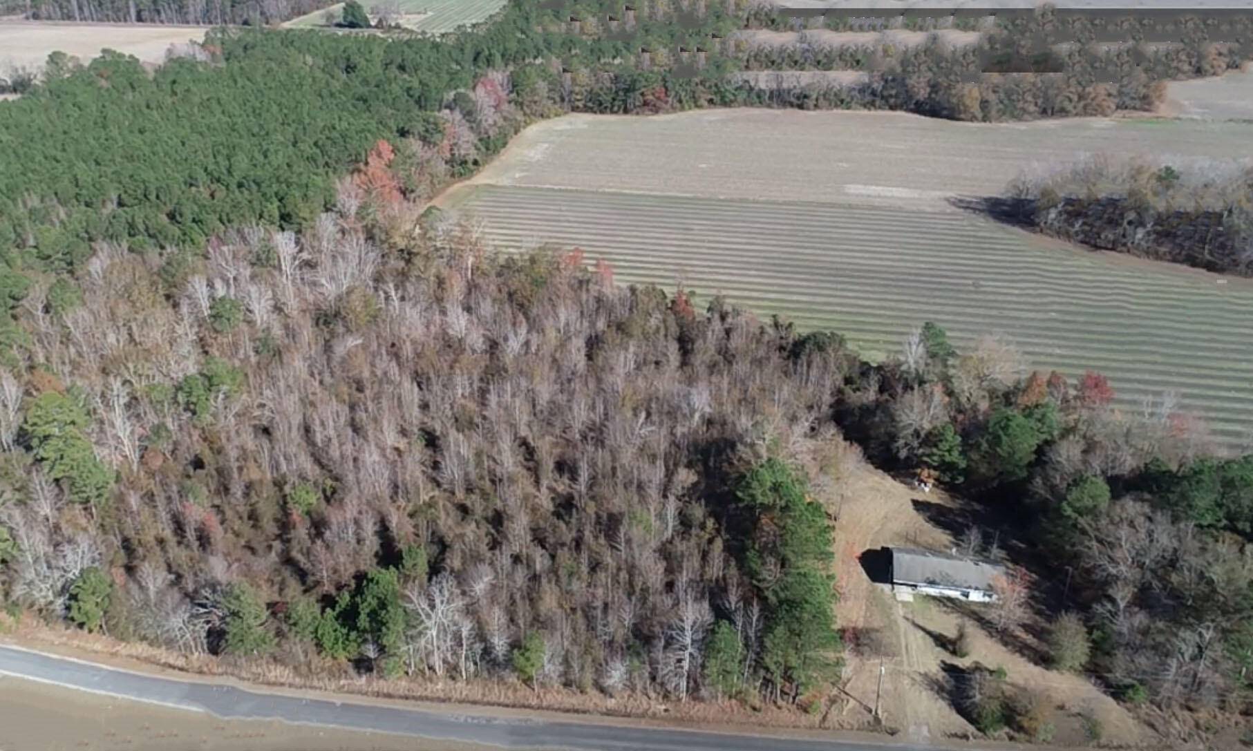 Elloree, SC 29047,0 Cardinal Rd