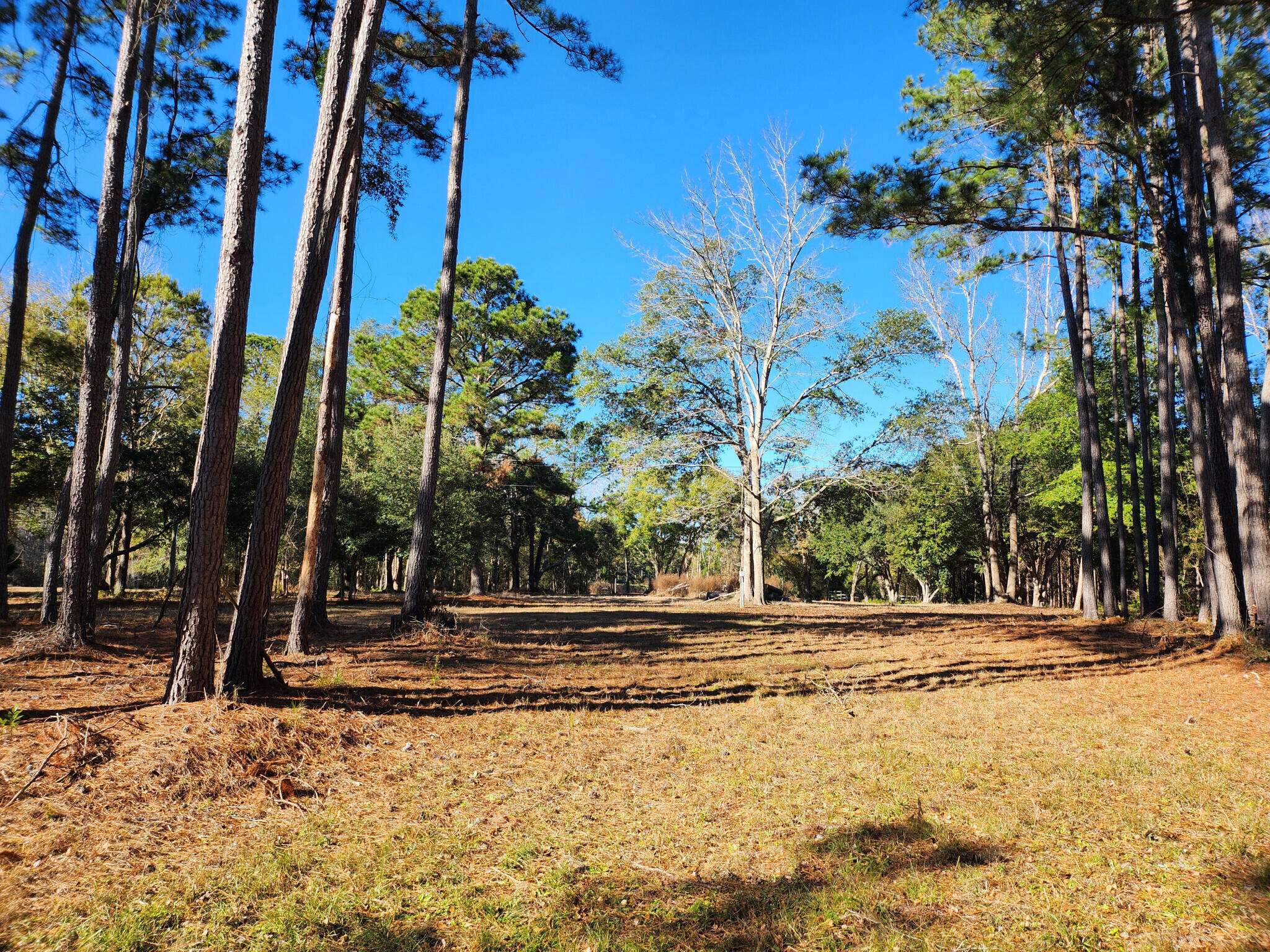 Awendaw, SC 29429,7997 Doar Rd #Lot C-1