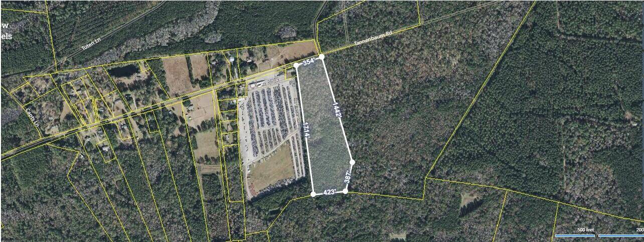Ravenel, SC 29470,0 Tannenbaum Rd