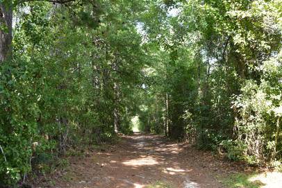 Pineville, SC 29468,Lot A Bobbie Ln