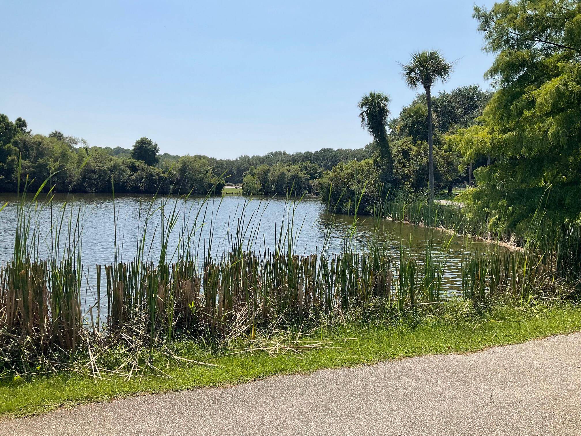 Seabrook Island, SC 29455,2195 Seabrook Island Rd