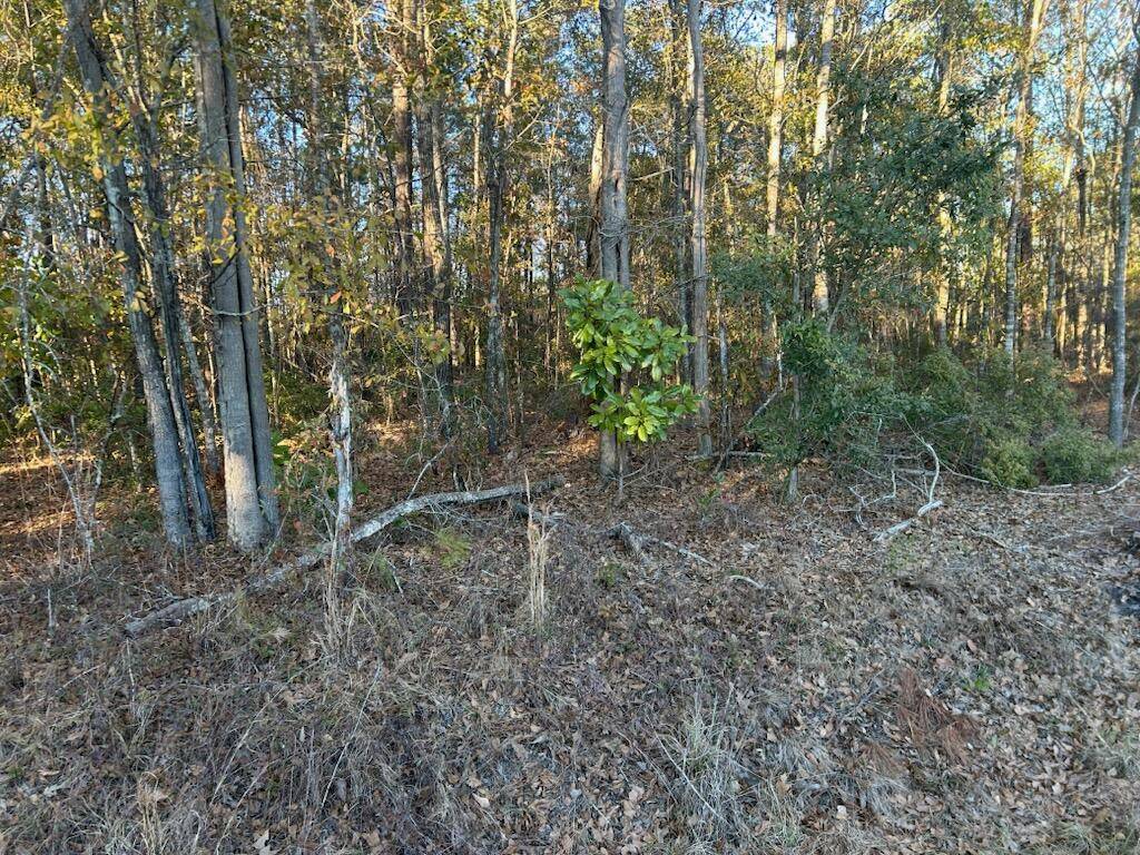 Ravenel, SC 29470,5860 Martin St