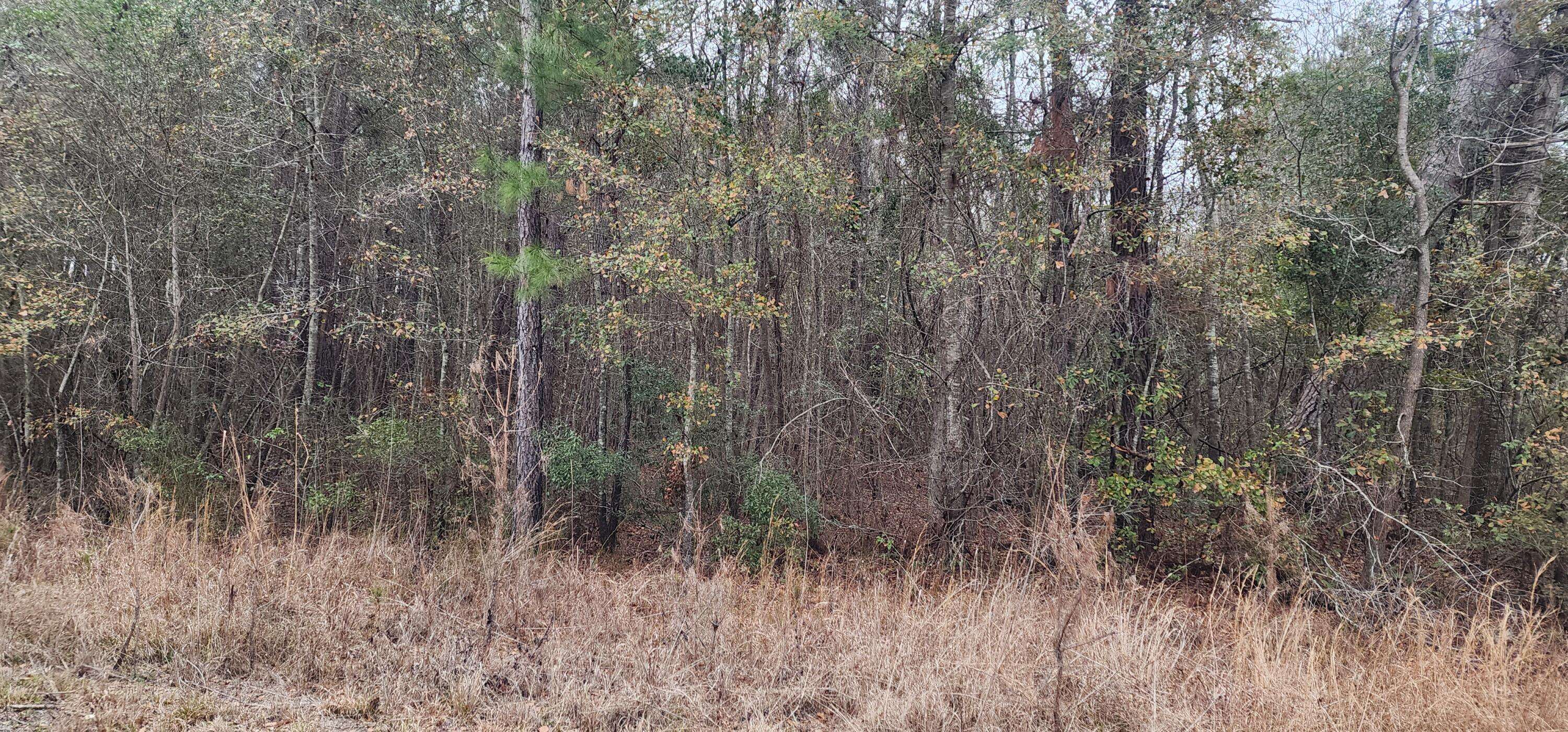 Reevesville, SC 29471,0 Independent School Rd