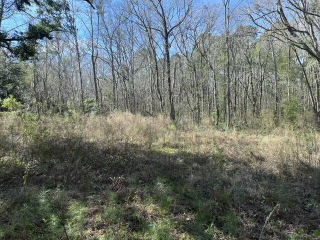 Adams Run, SC 29426,5753 Parkers Ferry Rd