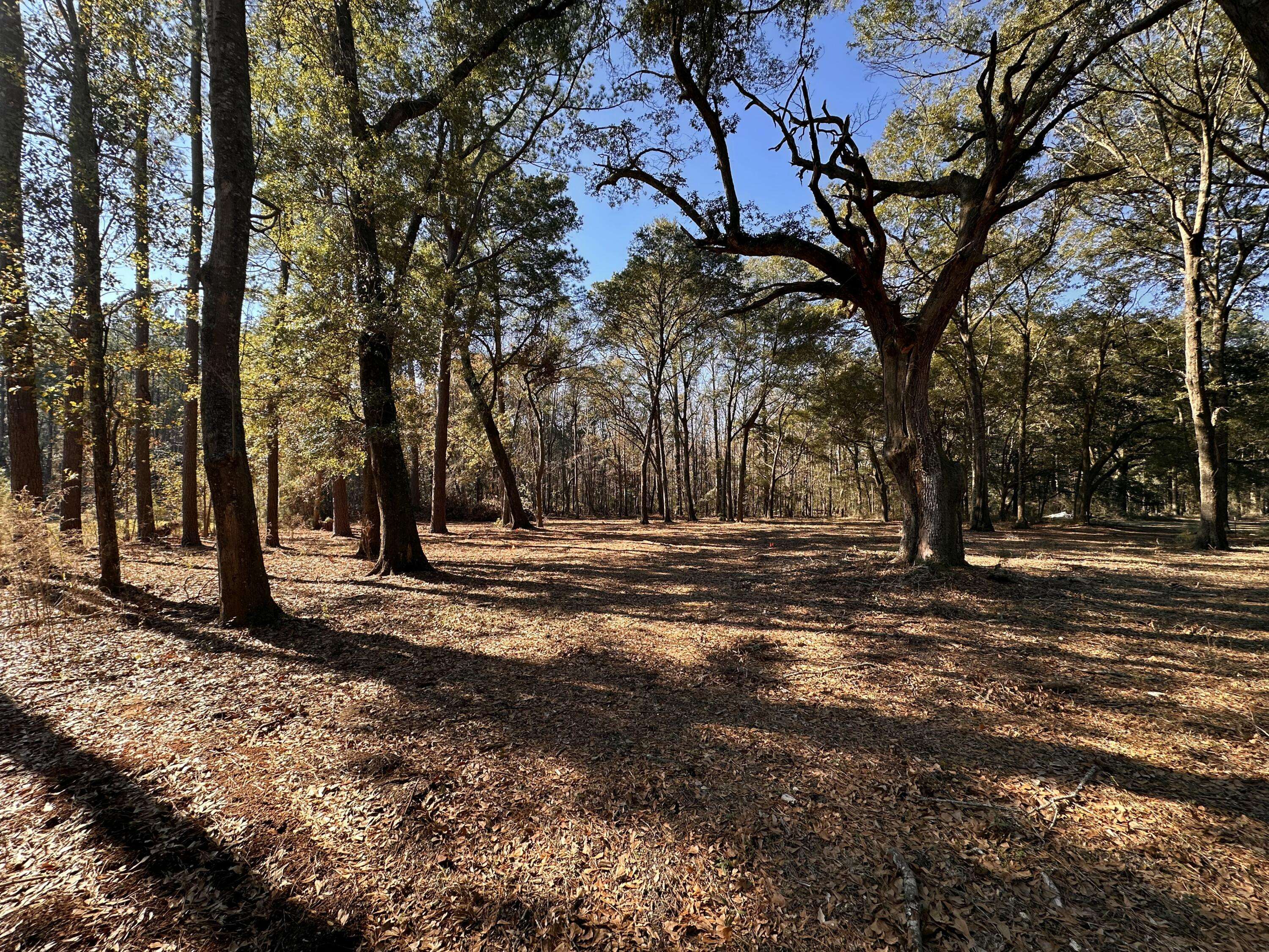 Johns Island, SC 29455,0 Cane Slash Rd